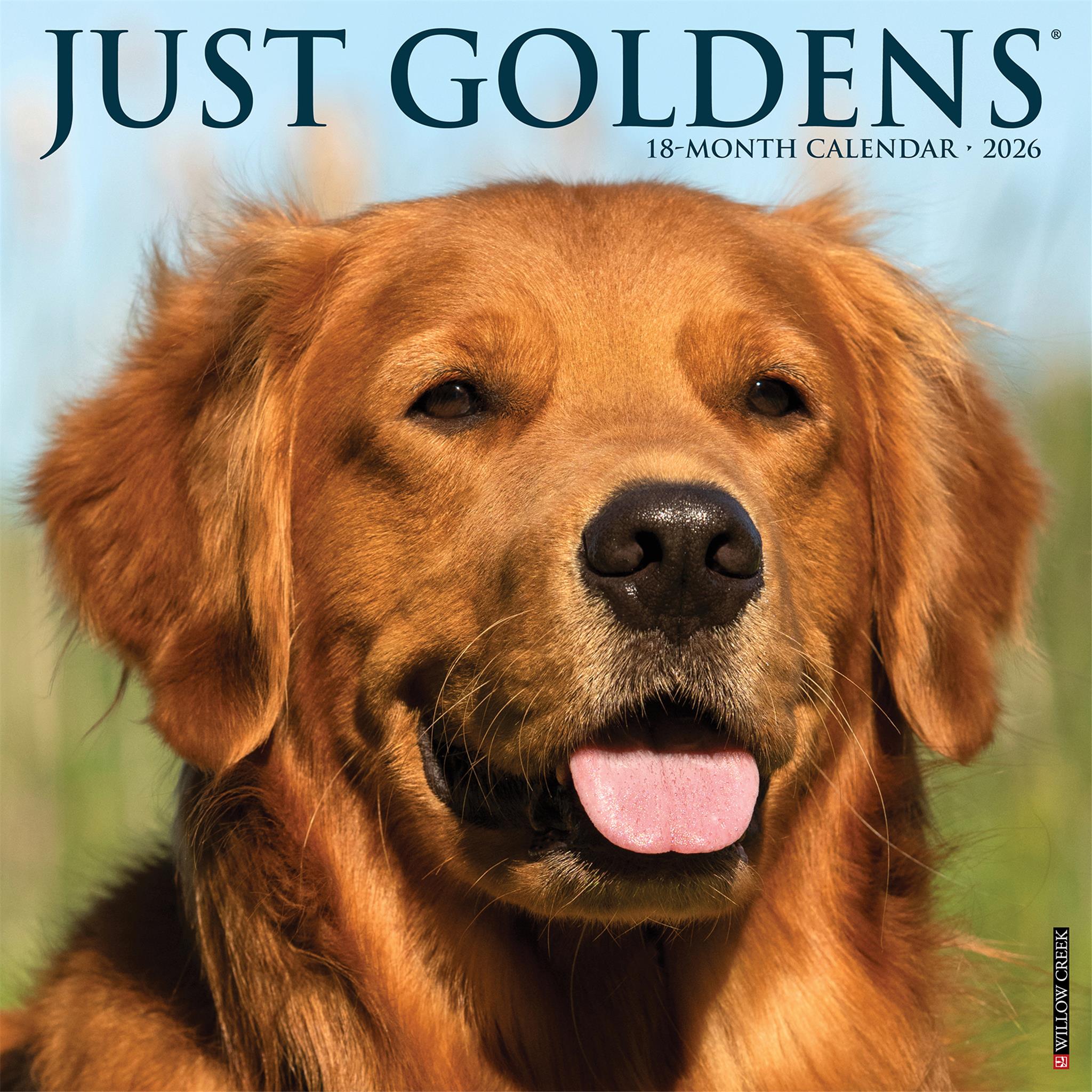 Calendrier mural Just Goldens 2026