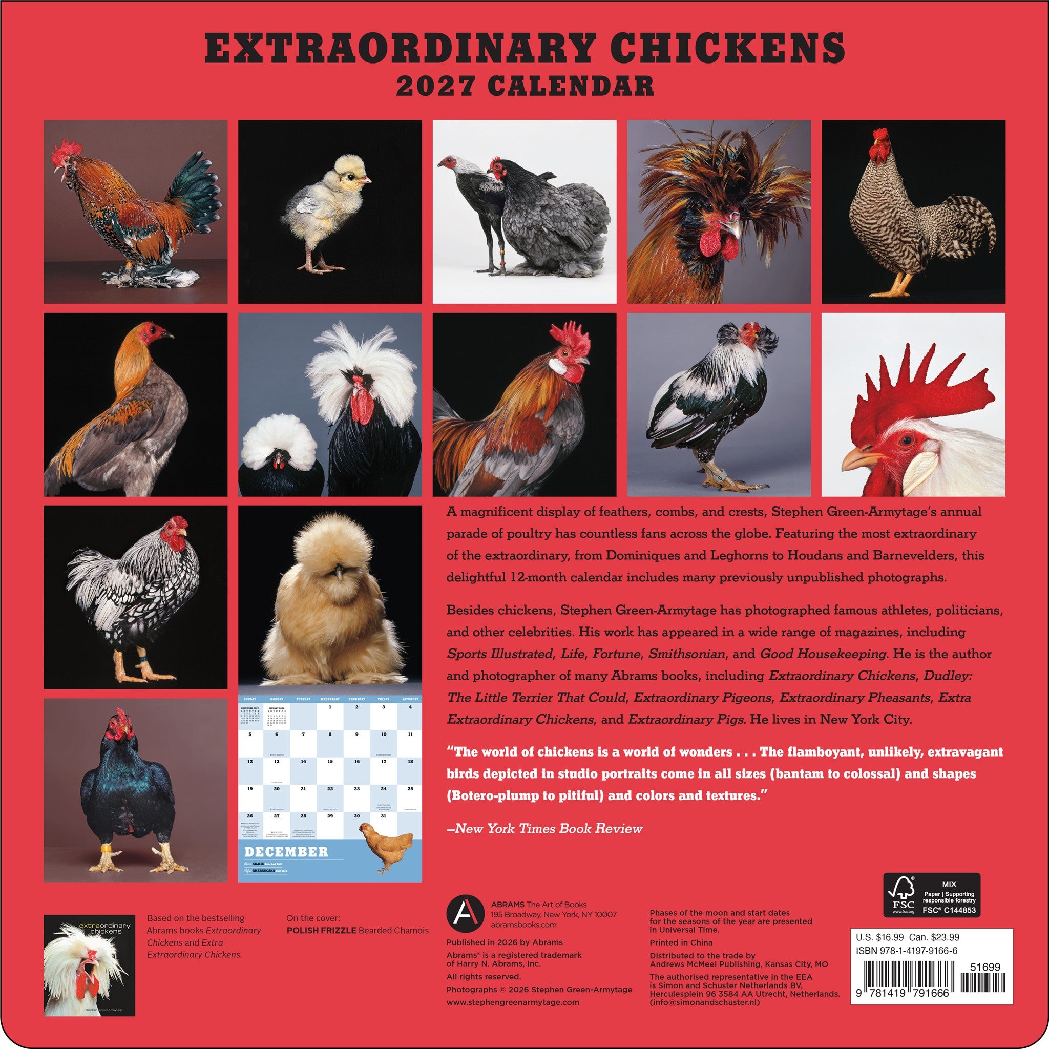 Extraordinary Chickens 2027 Wall Calendar