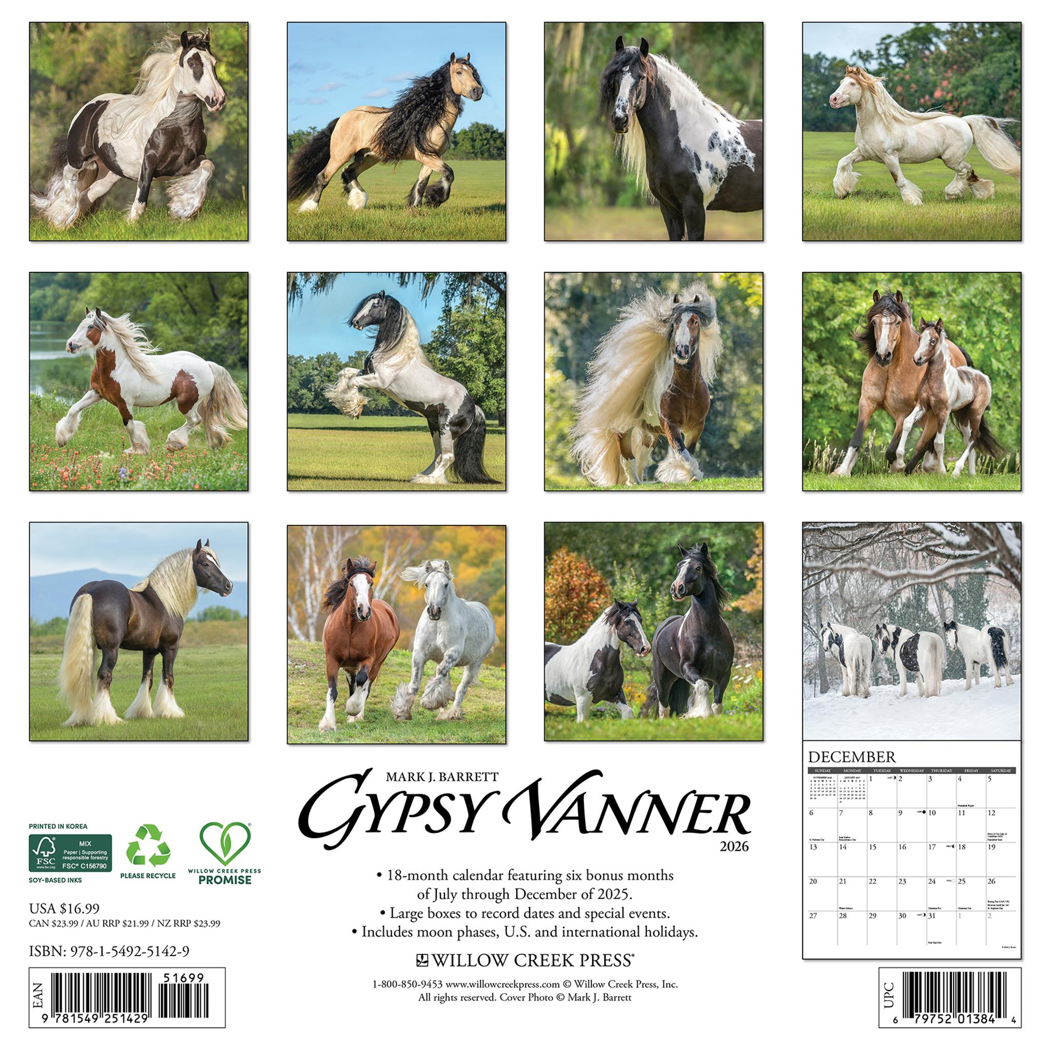 Calendrier mural 2026 Gypsy Vanner Horse