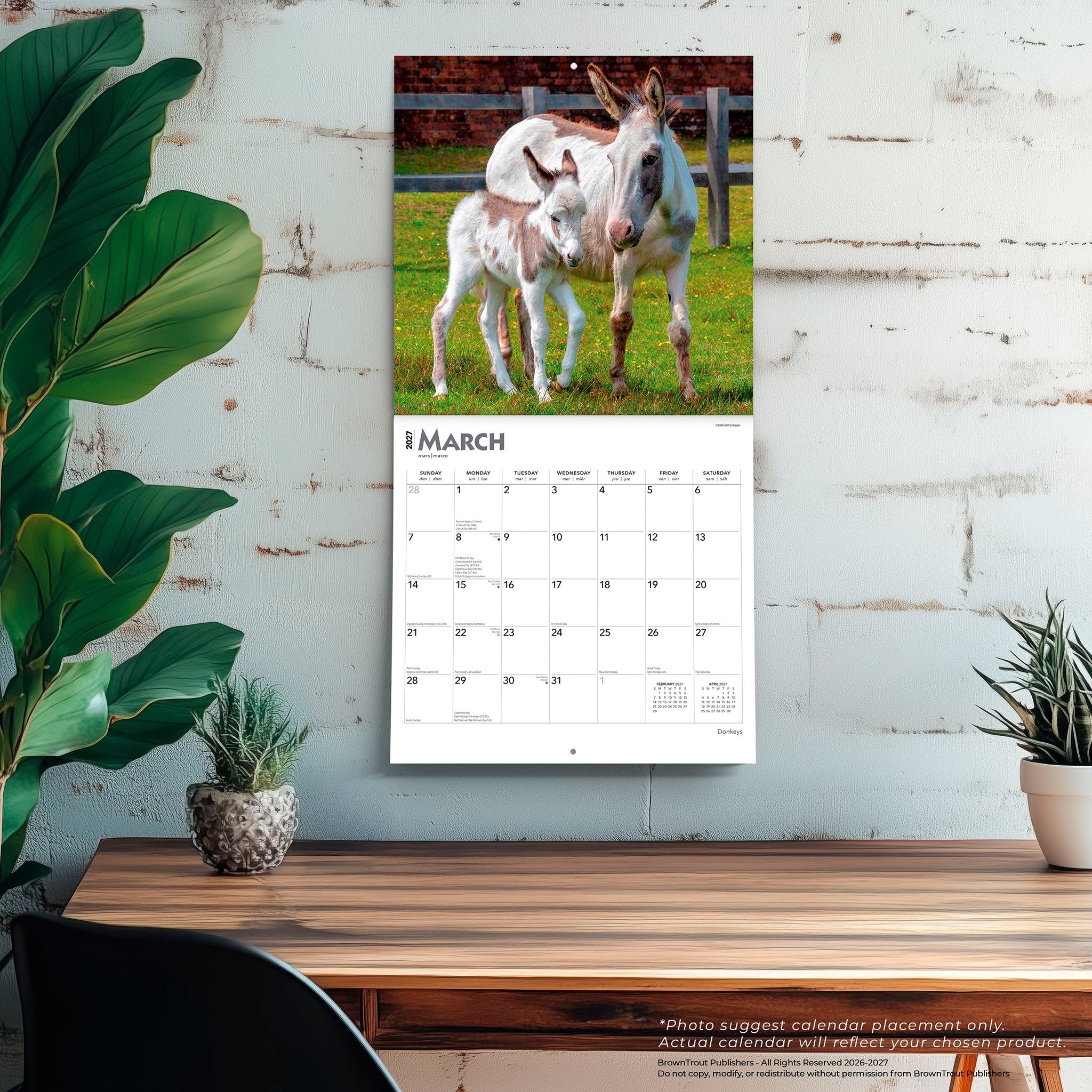 Donkeys 2027 Wall Calendar