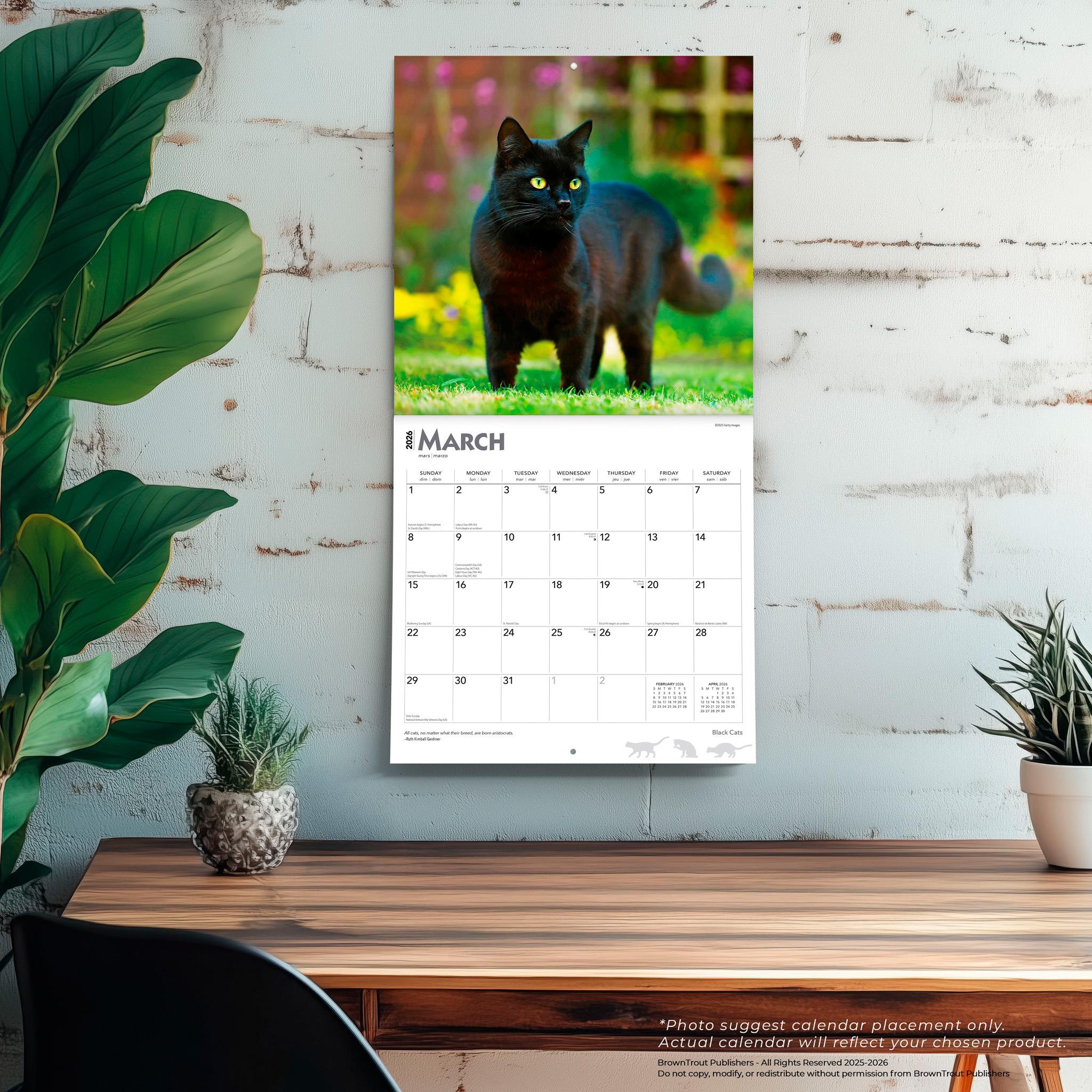 Black Cats 2026 Wall Calendar