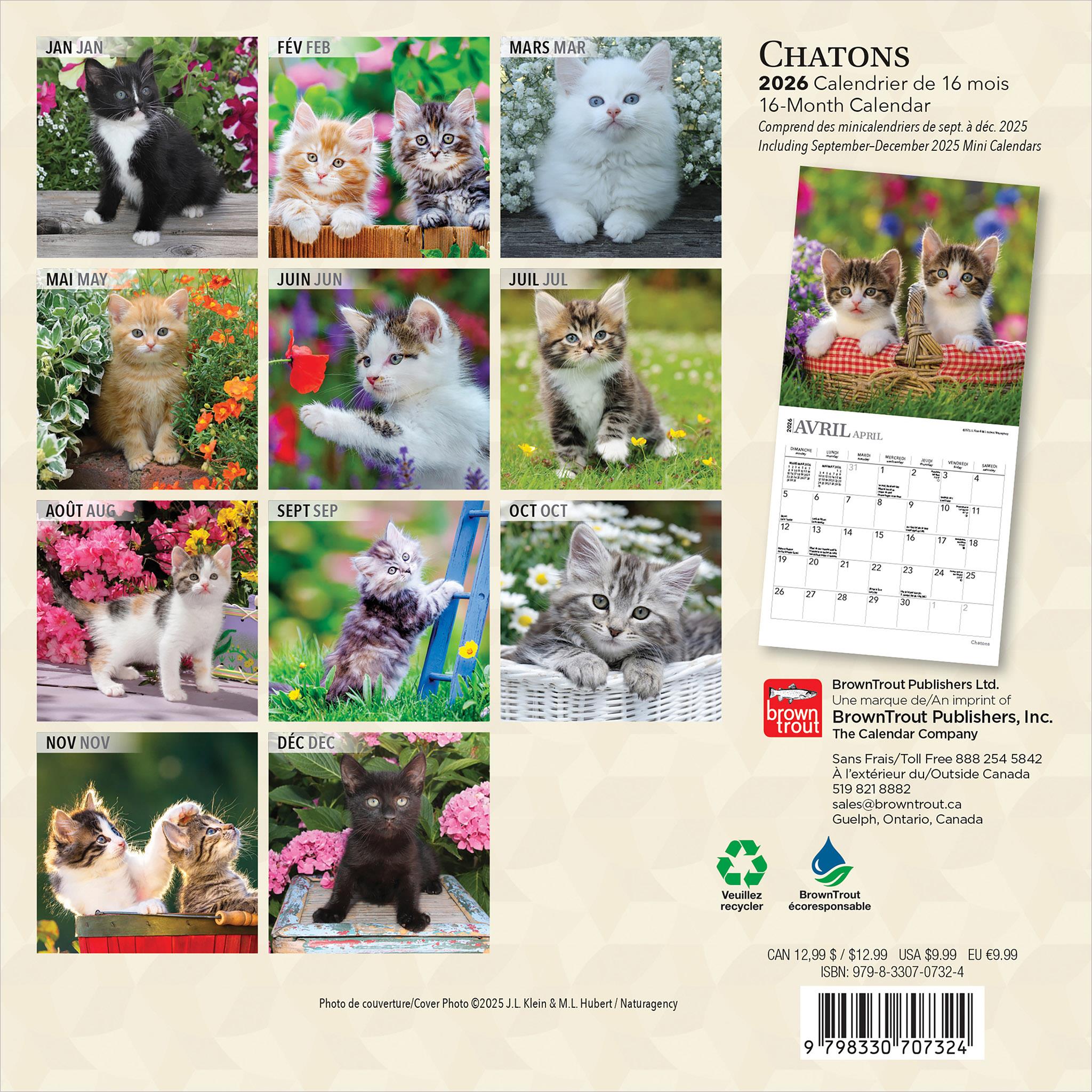 Mini Calendrier Chatons 2026 (Français)