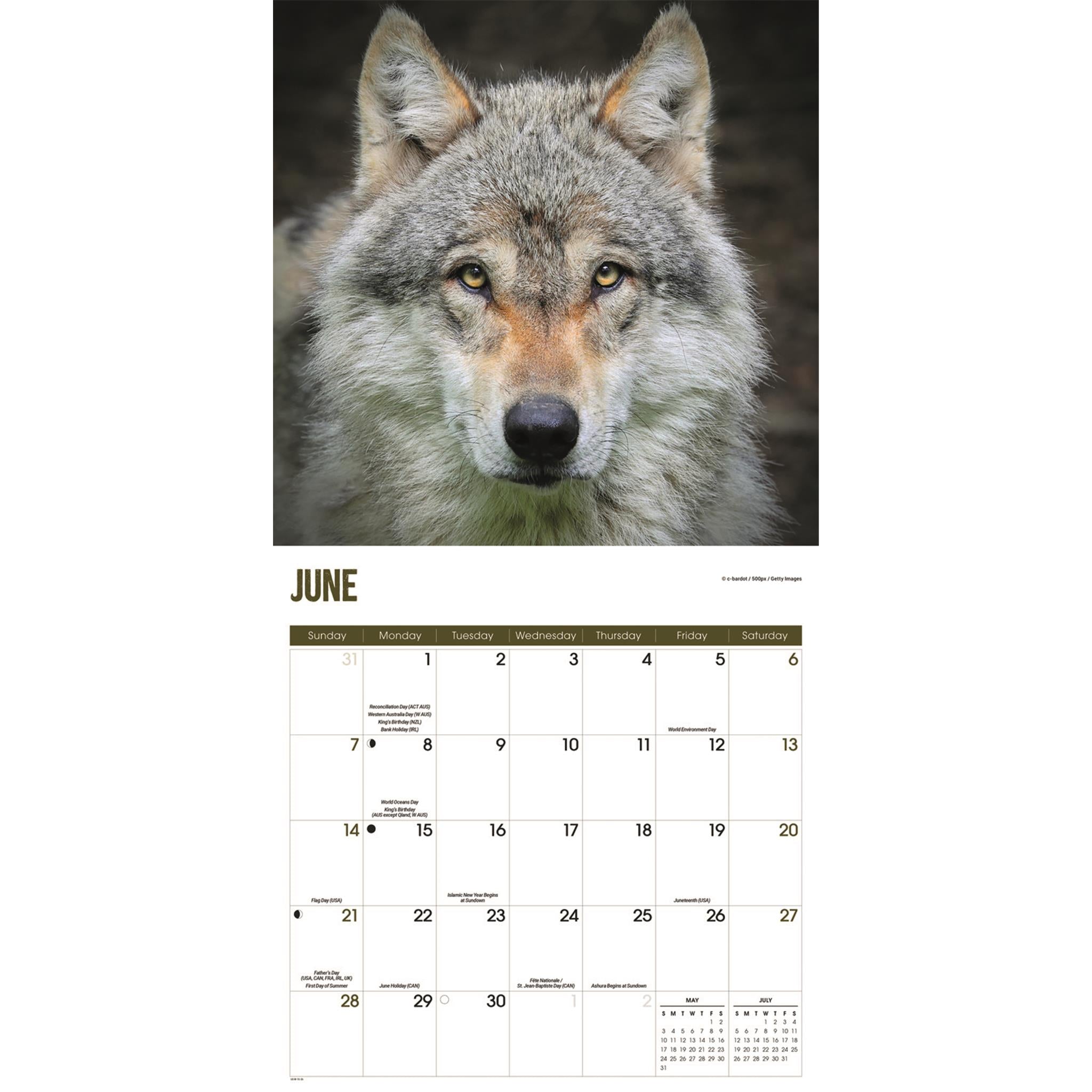 Wolves 2026 Wall Calendar