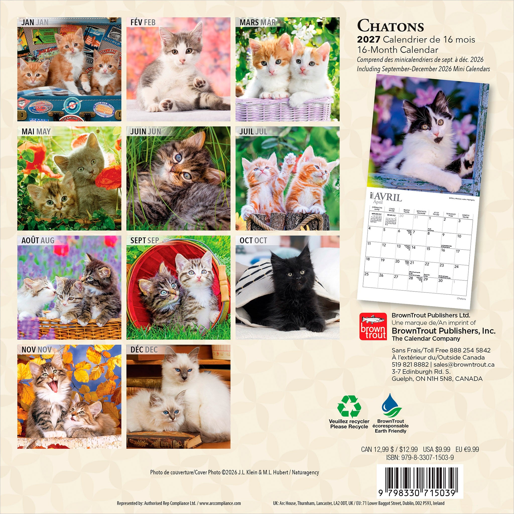 Chatons 2027 Mini Calendar (French)