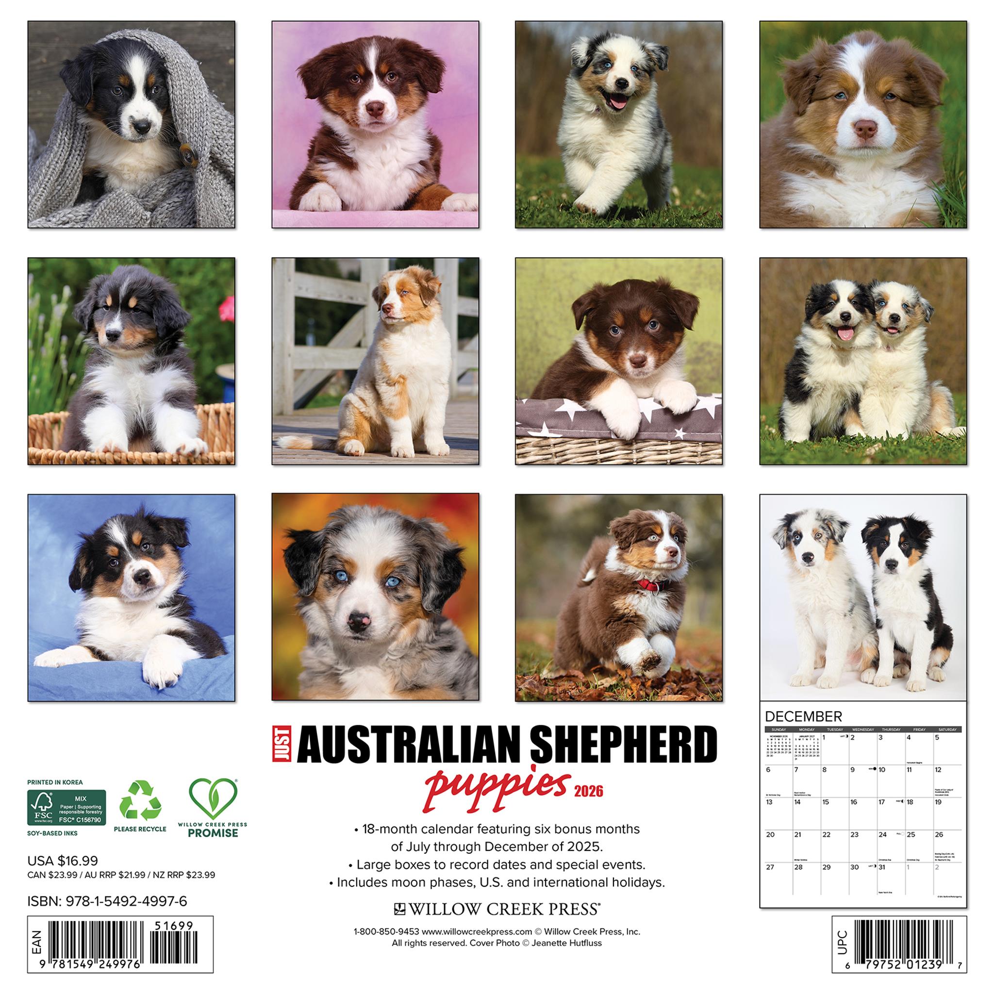 Calendrier mural 2026 « Just Australian Shepherd Puppies »
