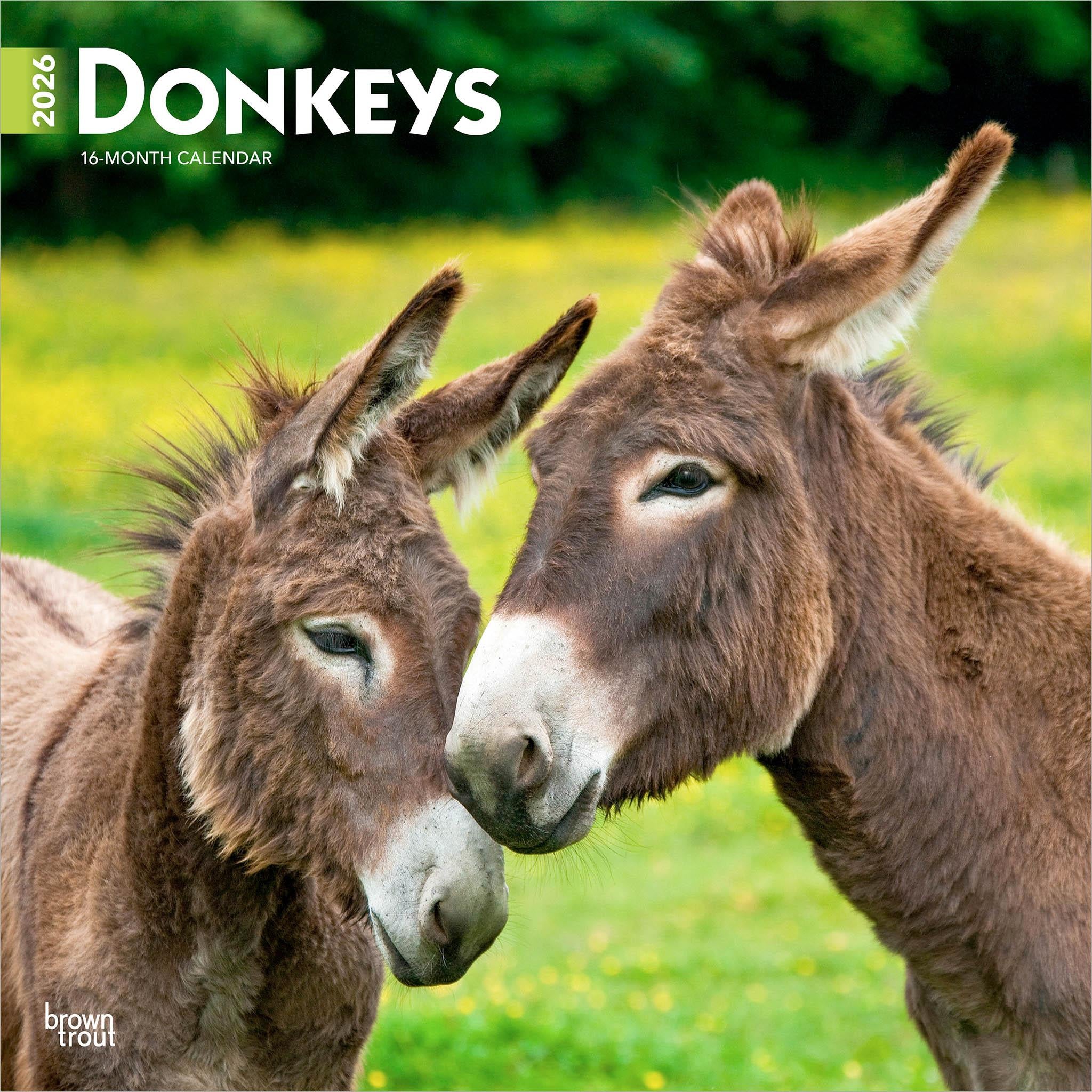 Donkeys 2026 Wall Calendar