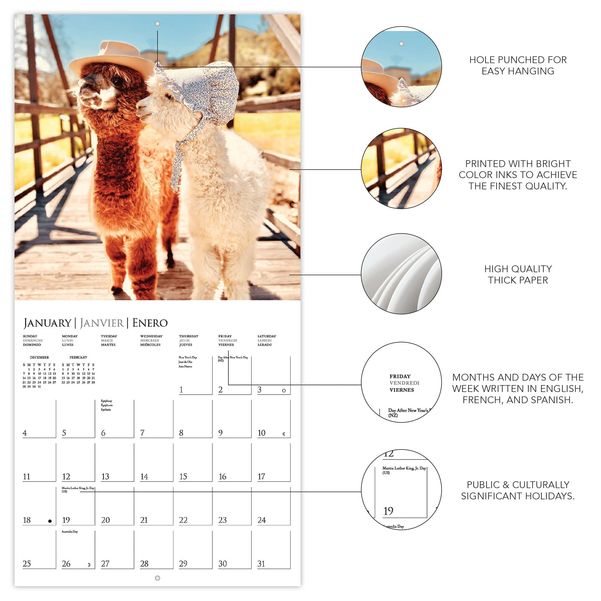 Calendrier mural Little Alpaca On The Prairie 2026