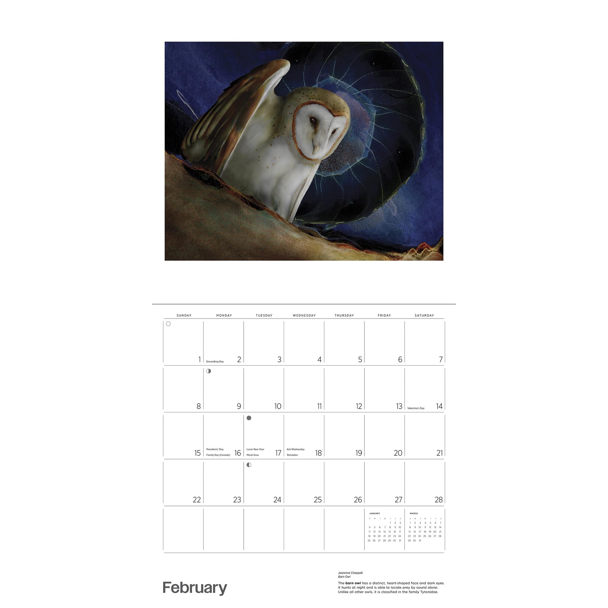 Calendrier mural 2026 de Jeannine Chappell et les hiboux