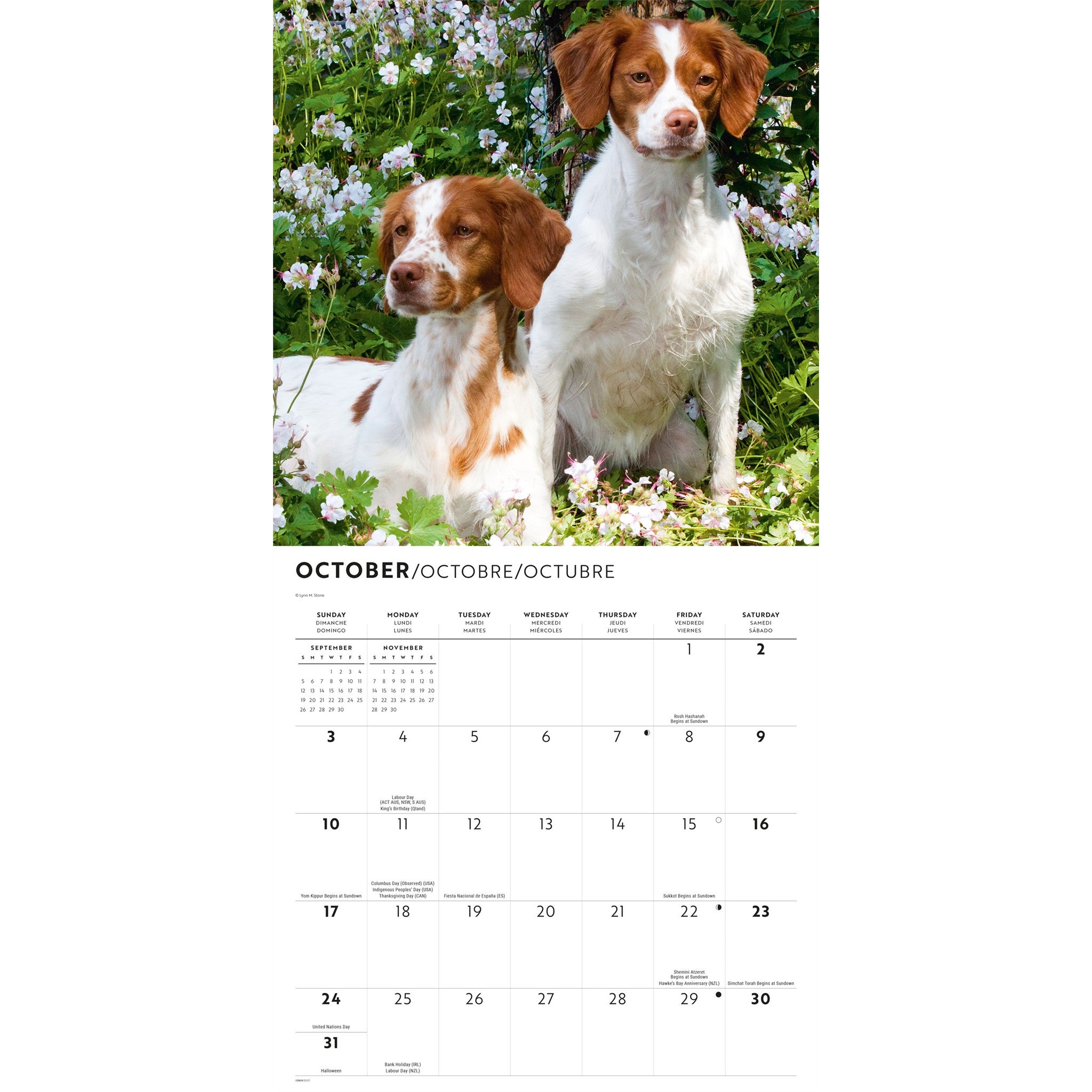 Calendrier mural Brittanys 2027