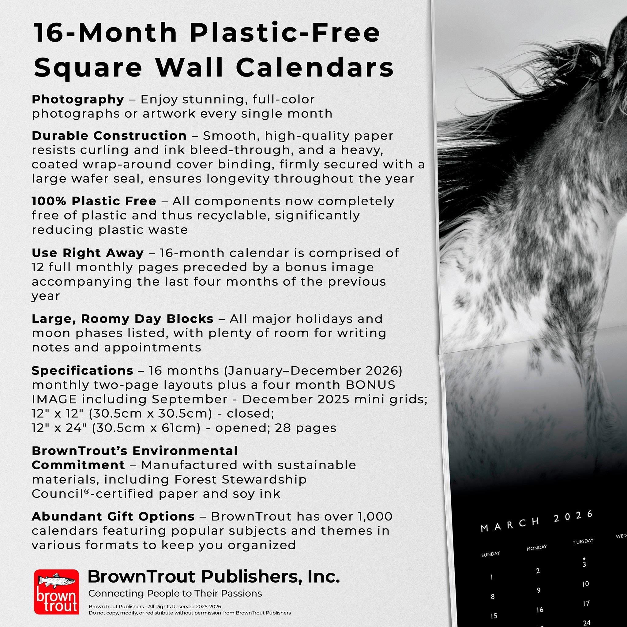 Calendrier mural The Noble Horse 2026