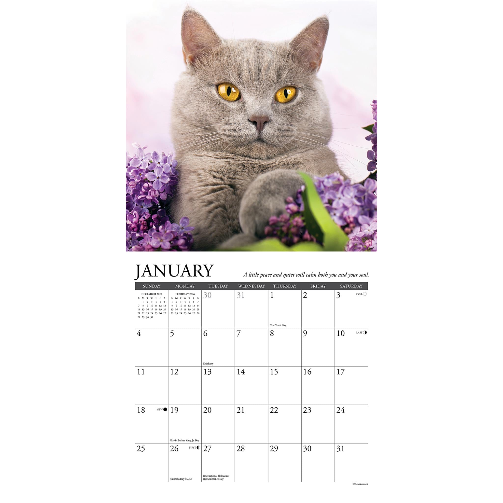 What Cats Teach Us 2026 Mini Calendar