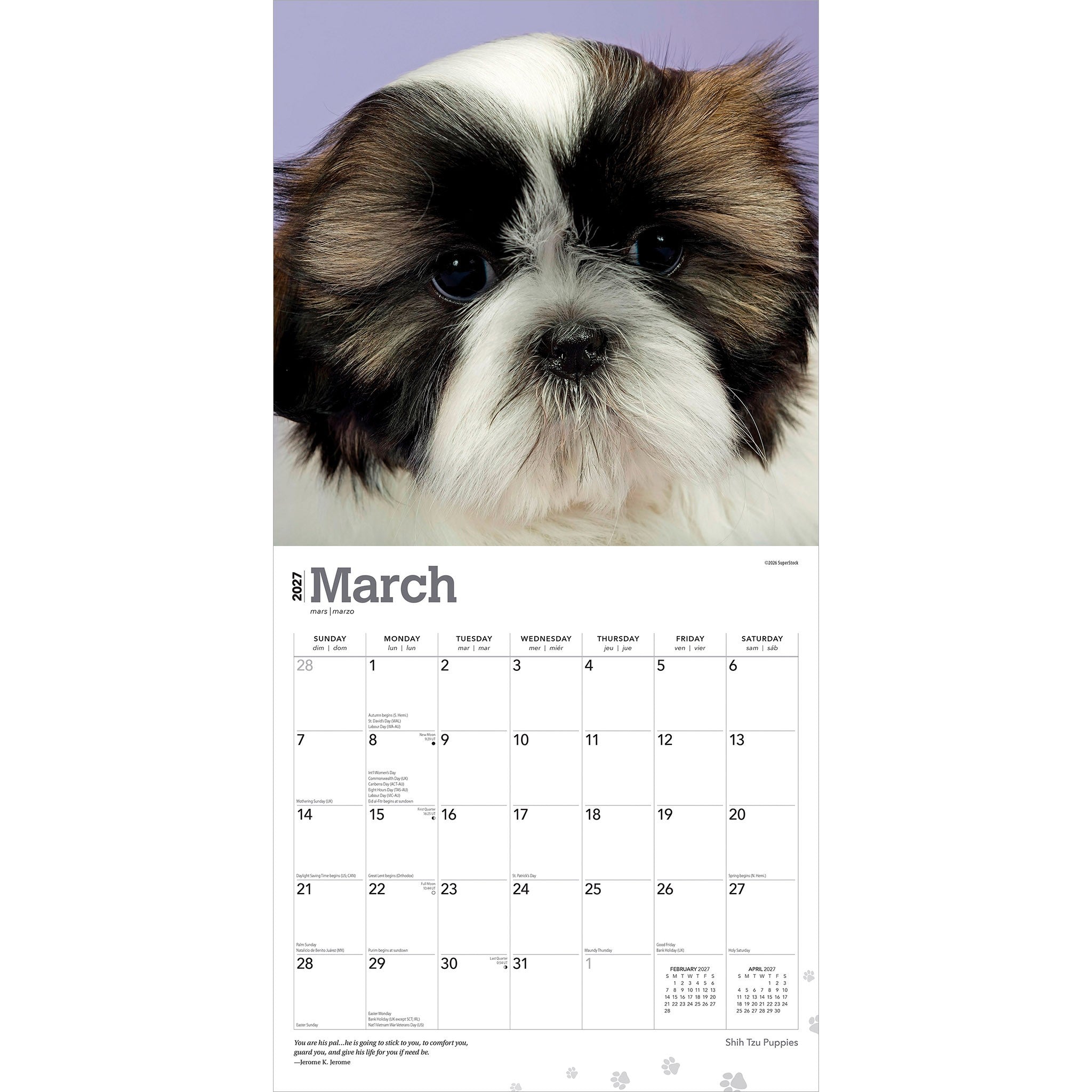 Shih Tzu Puppies 2027 Wall Calendar