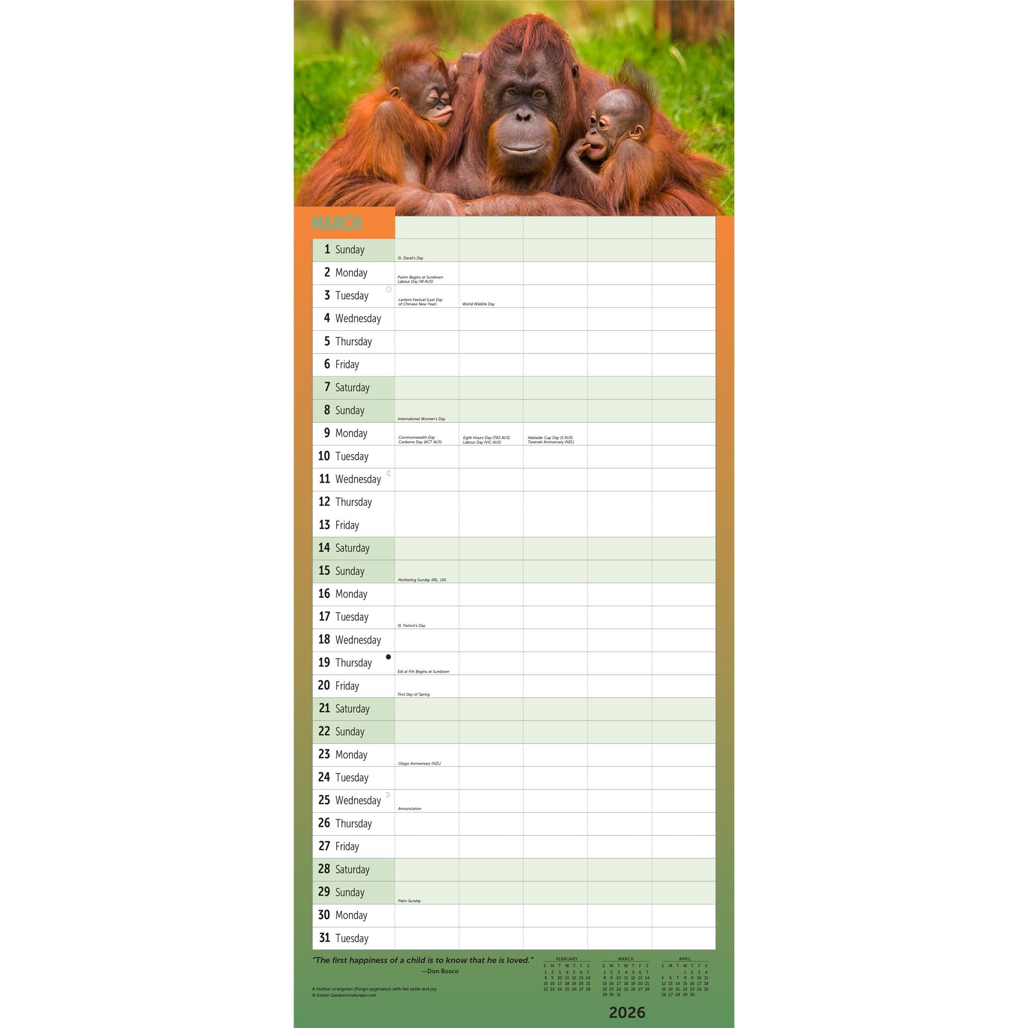 Calendrier mural 2026 pour familles occupées