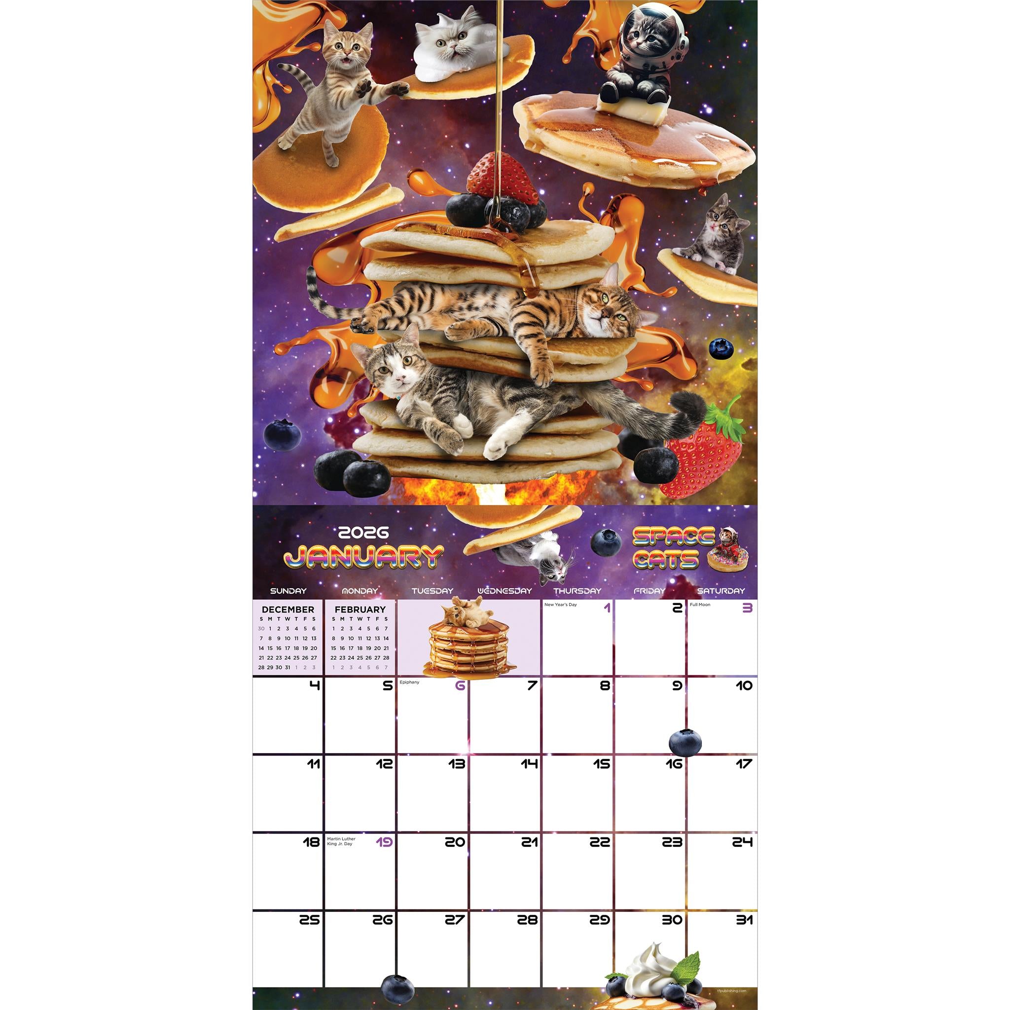 Calendrier mural Space Cats 2026 - Disponible uniquement en ligne