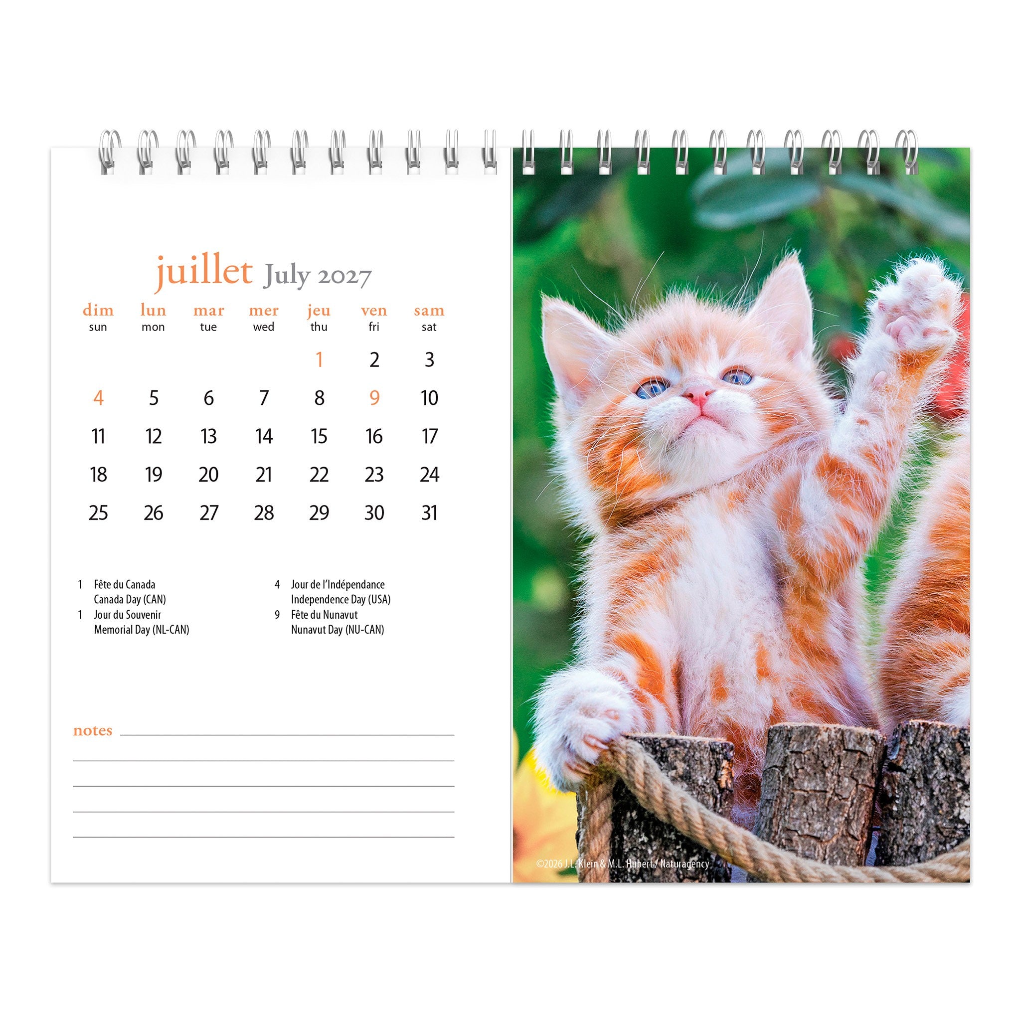 Chatons Double-View 2027 Easel Calendar (French)