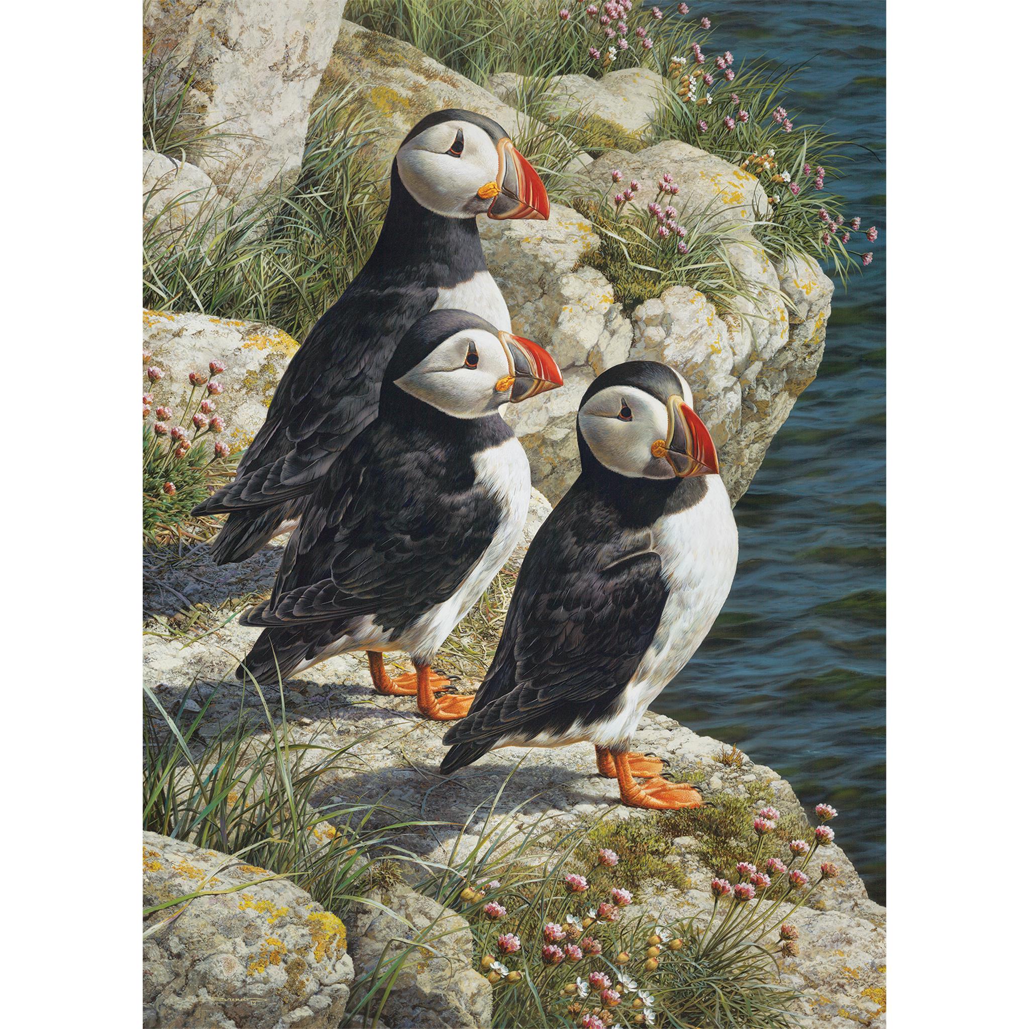 Puzzle de 500 pièces Fisherman's Wharf, Cobble Hill