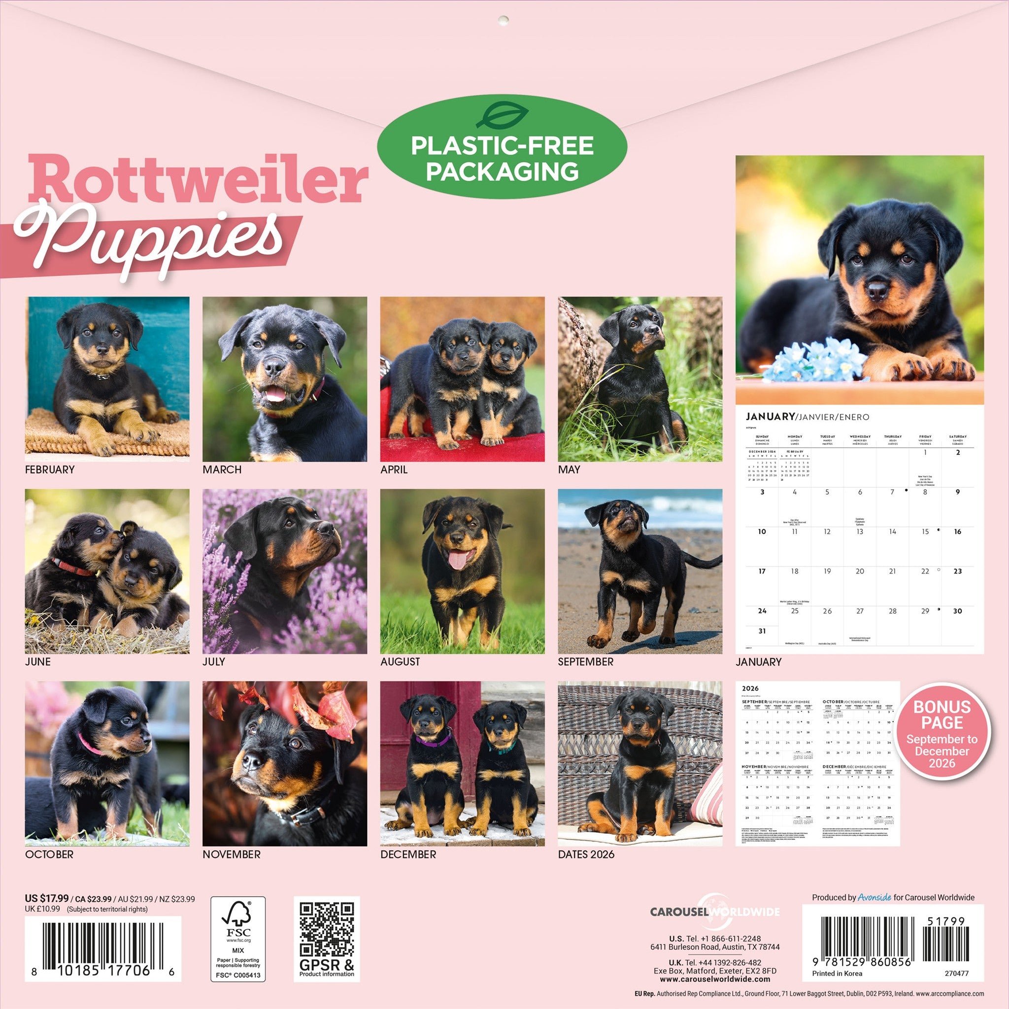 Calendrier mural chiots Rottweiler 2027