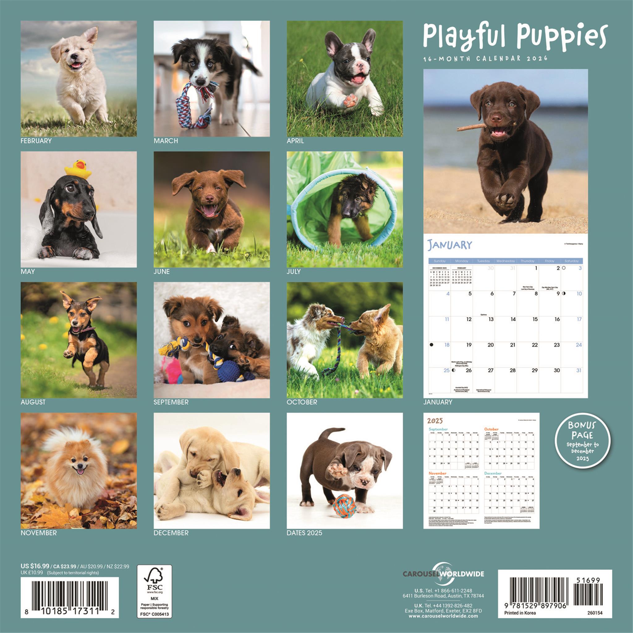 Calendrier mural Chiots joueurs 2026