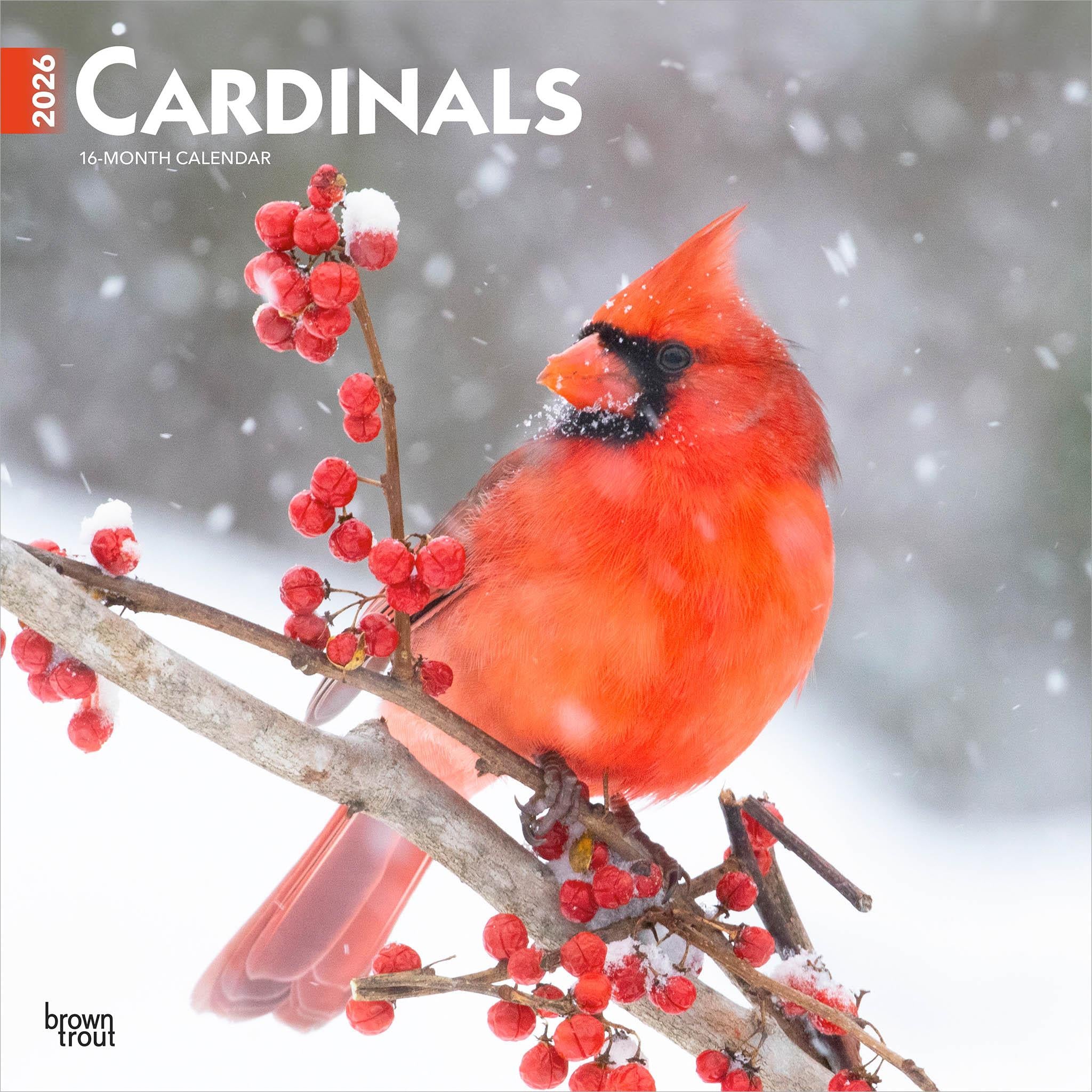 Calendrier mural Cardinals 2026