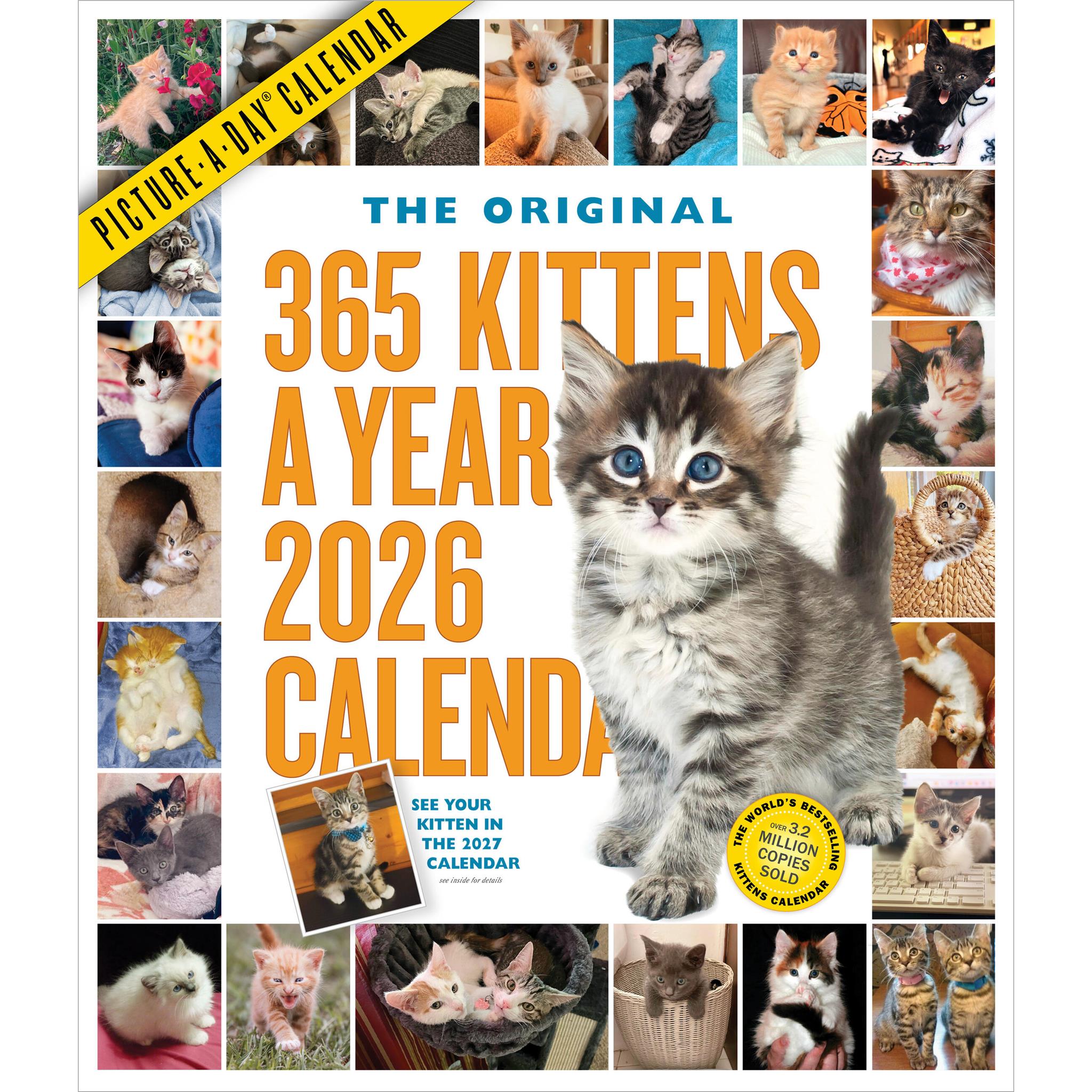 Calendrier mural Chatons 365 2026