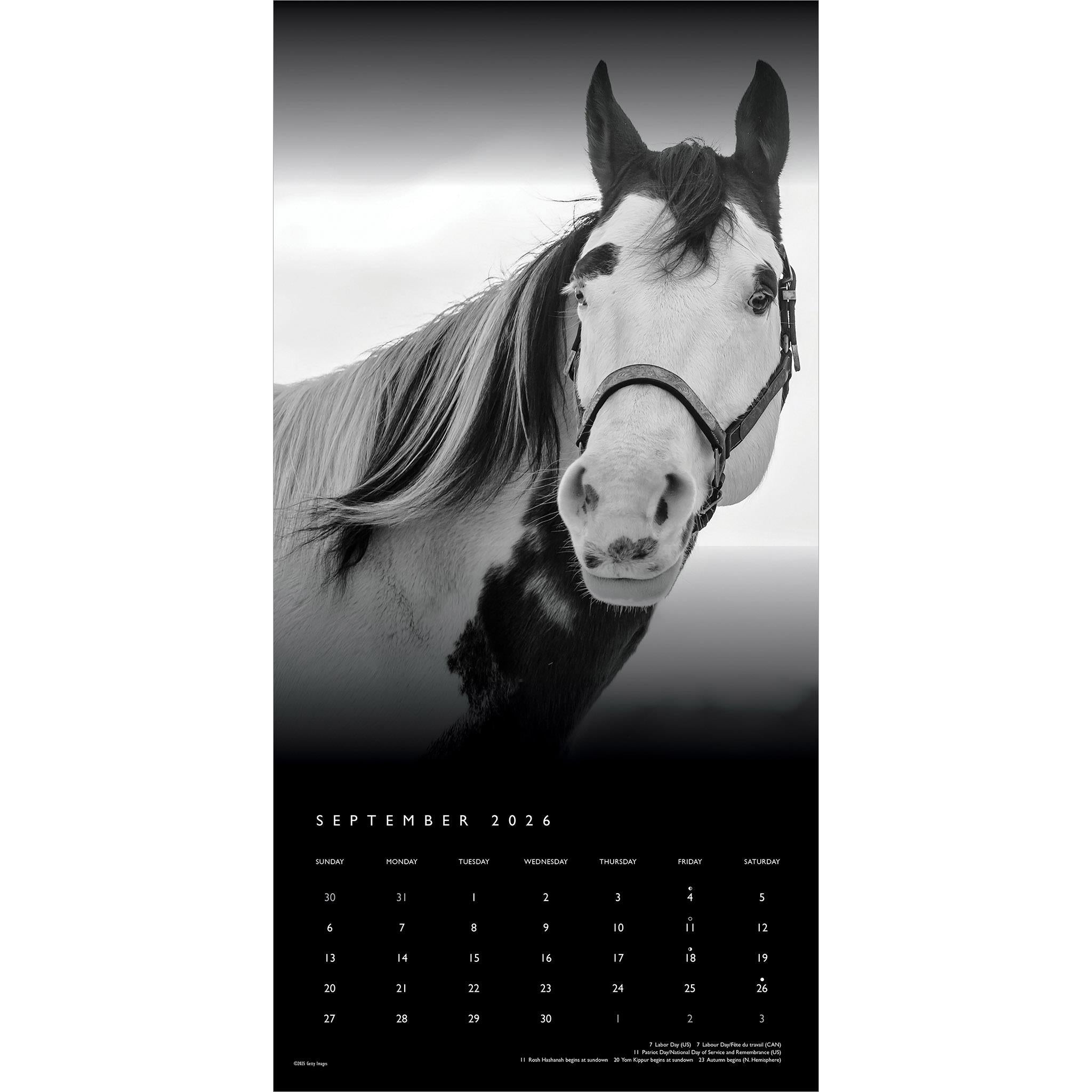 Calendrier mural The Noble Horse 2026