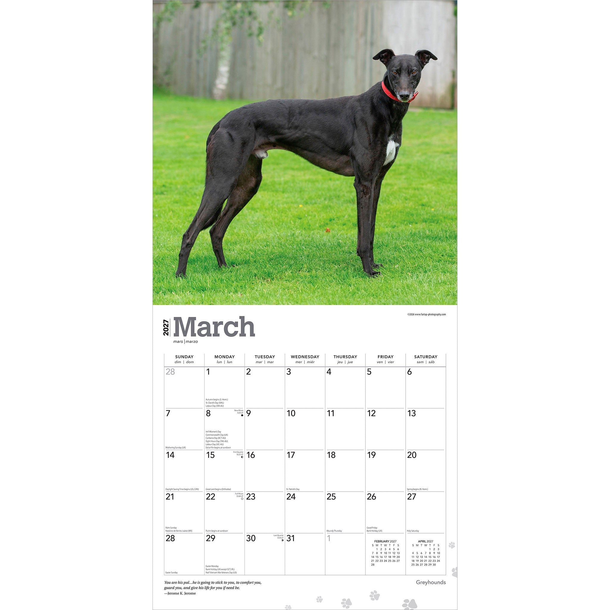 Greyhounds 2027 Wall Calendar