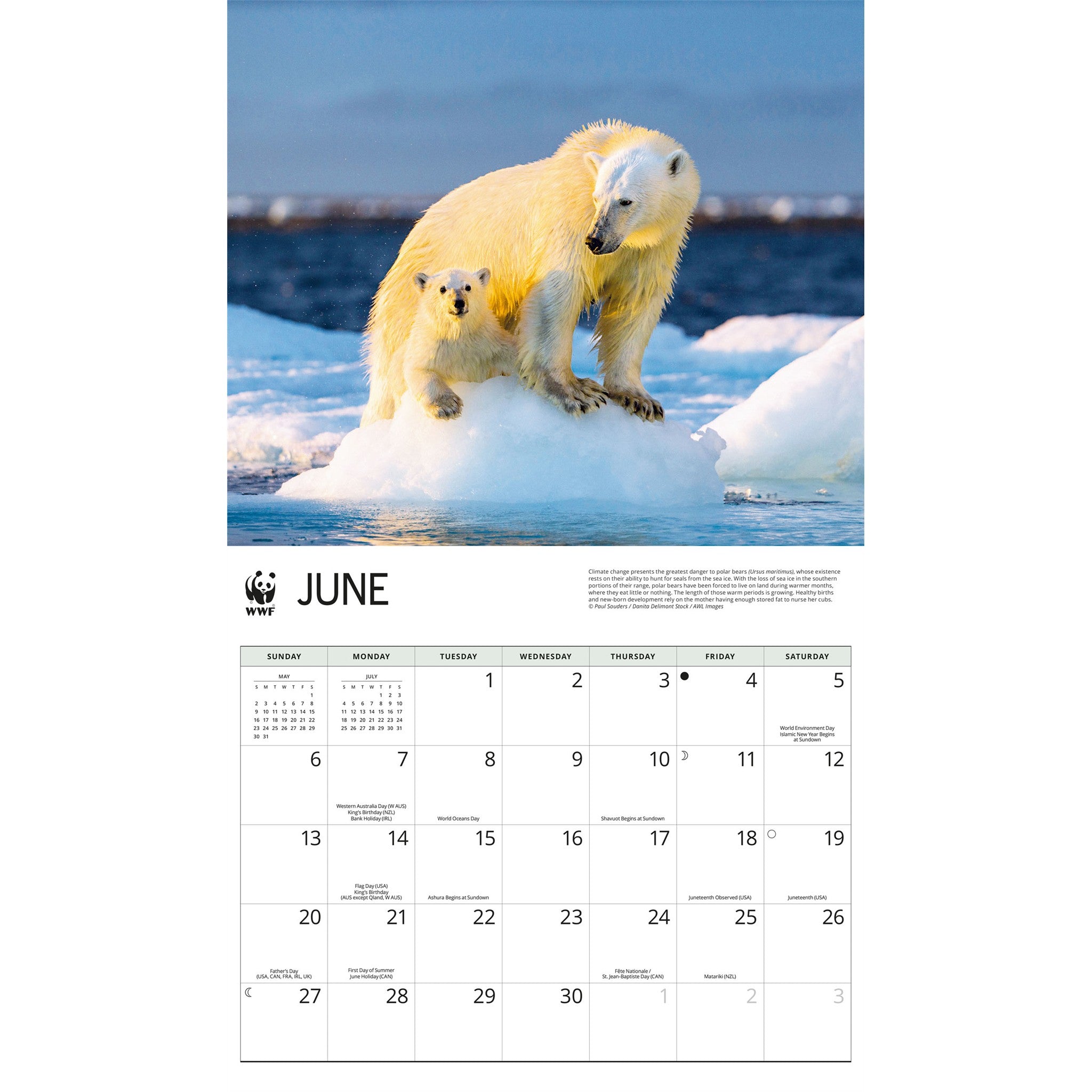 Calendrier mural Ours polaires 2027 du Fonds mondial pour la nature