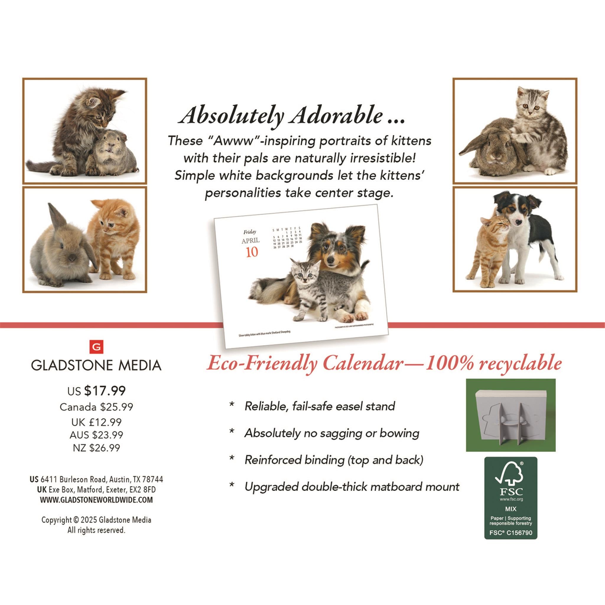 Calendrier Kittens And Friends Box 2026