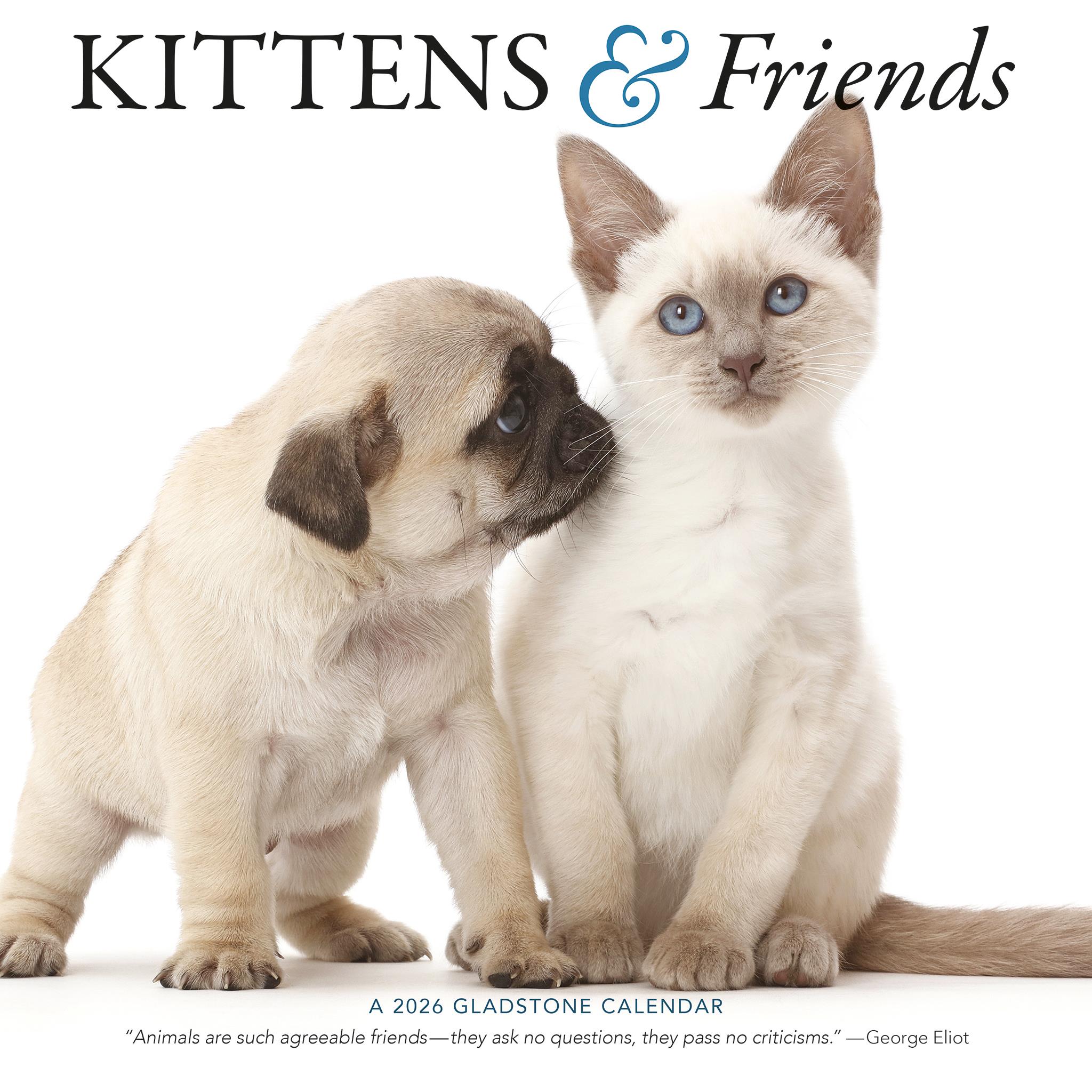 Calendrier mural Chatons et Amis 2026