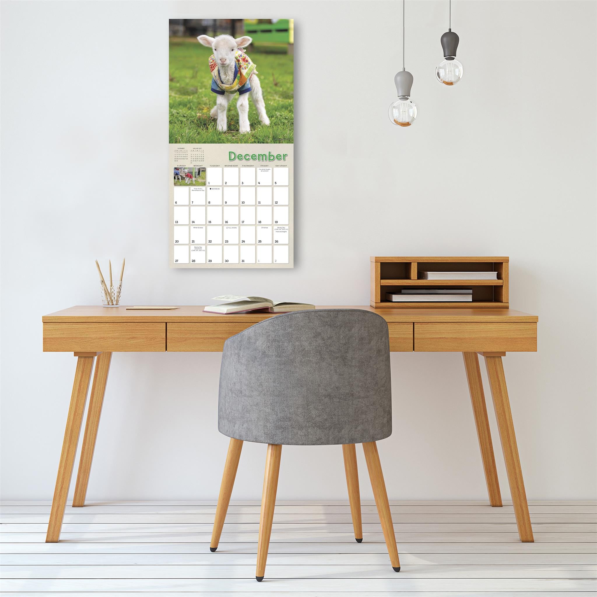Lambies In Jammies And Goats In Coats 2026 Wall Calendar