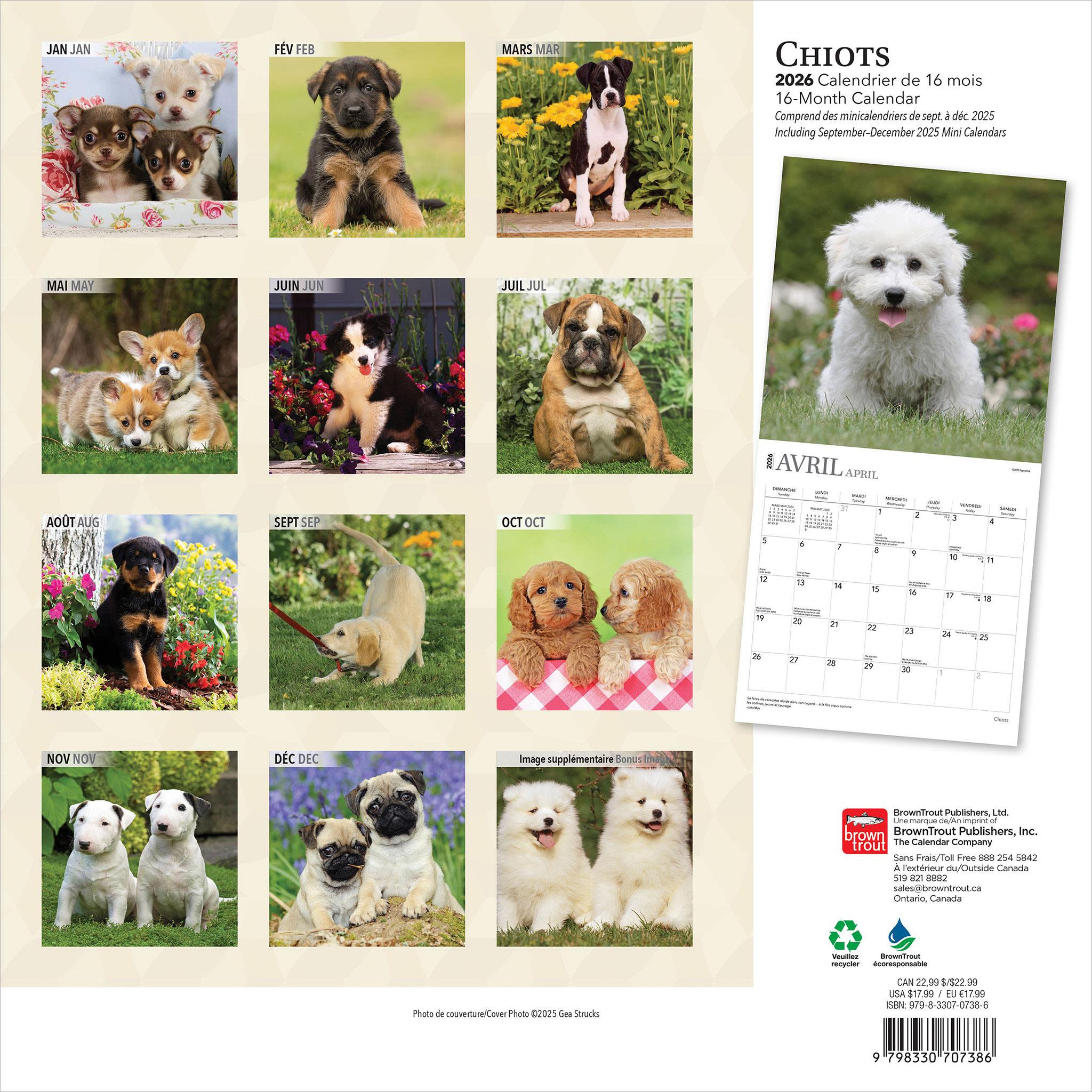 Chiots 2026 Calendrier de 12 Mois (Français)