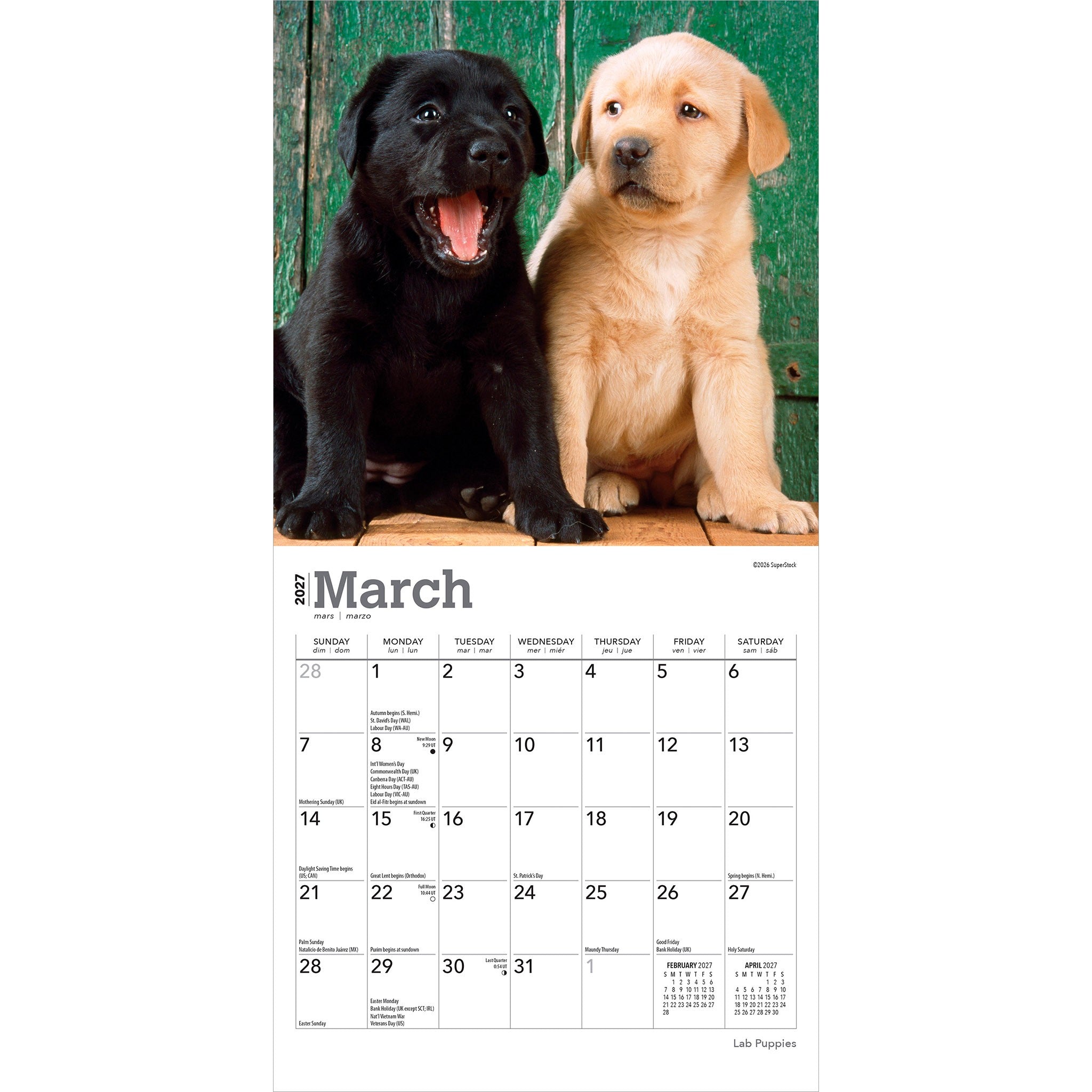 Lab Puppies 2027 Mini Calendar