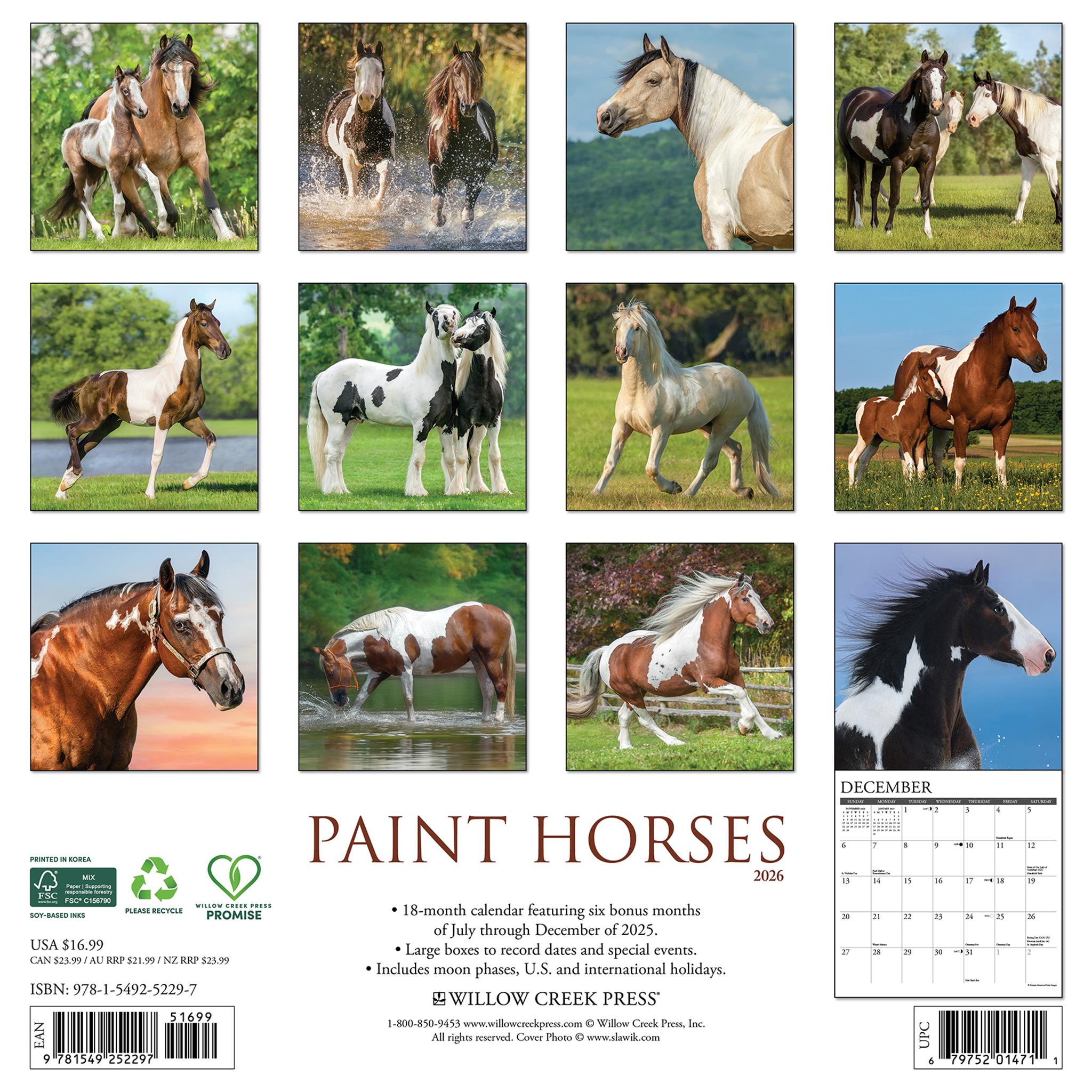 Calendrier mural Paint Horses 2026