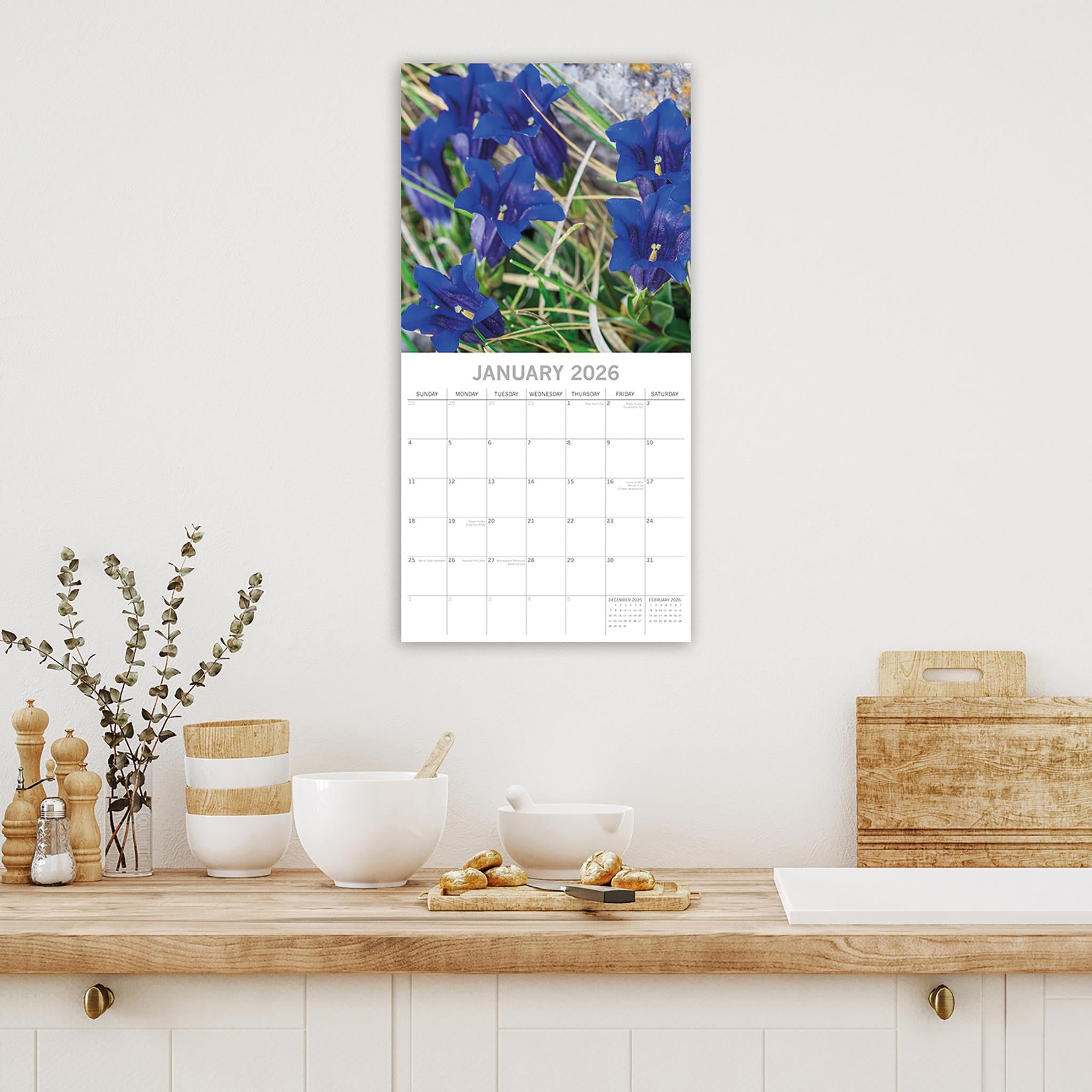 Calendrier mural Fleurs sauvages 2026