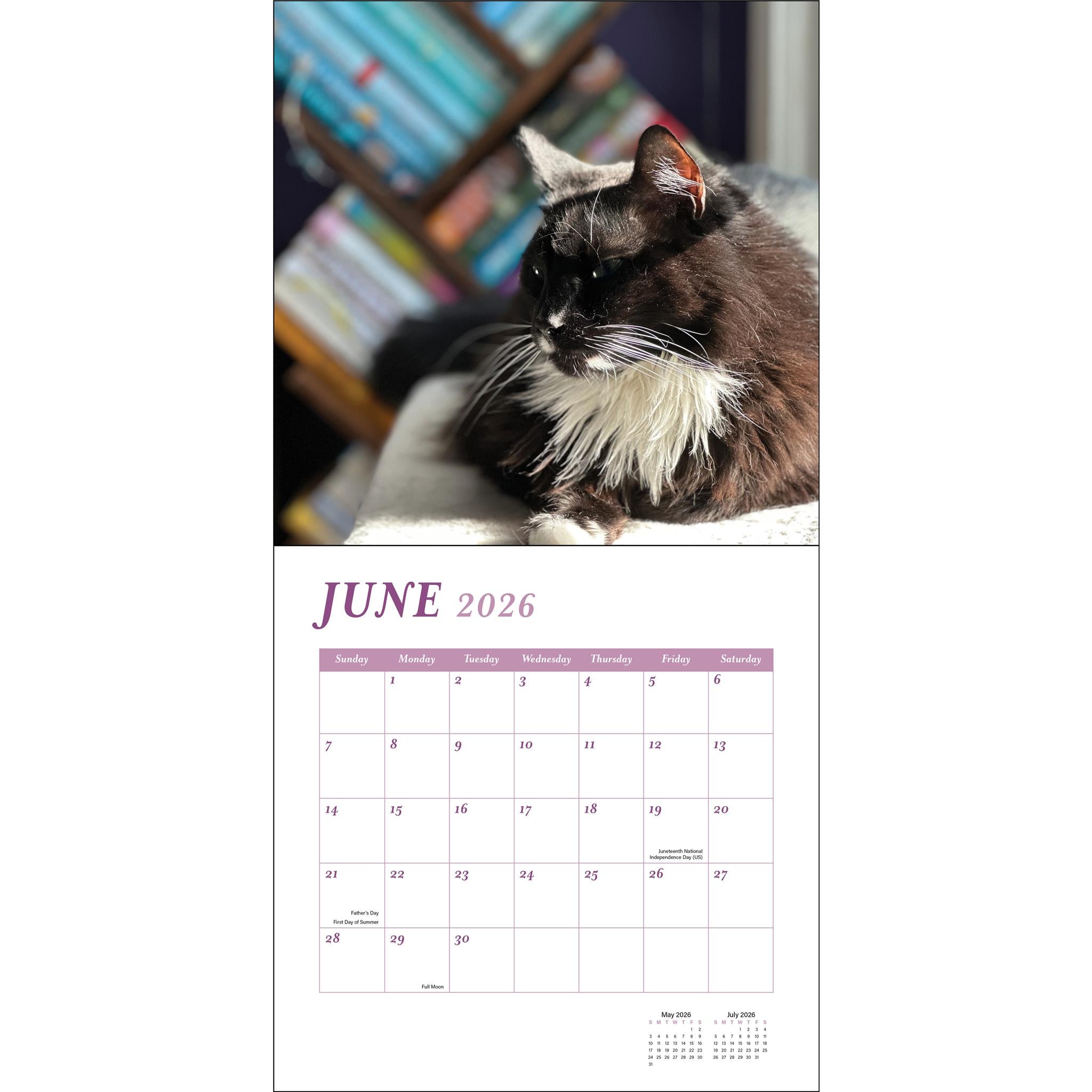 Calendrier mural Chats et Livres 2026