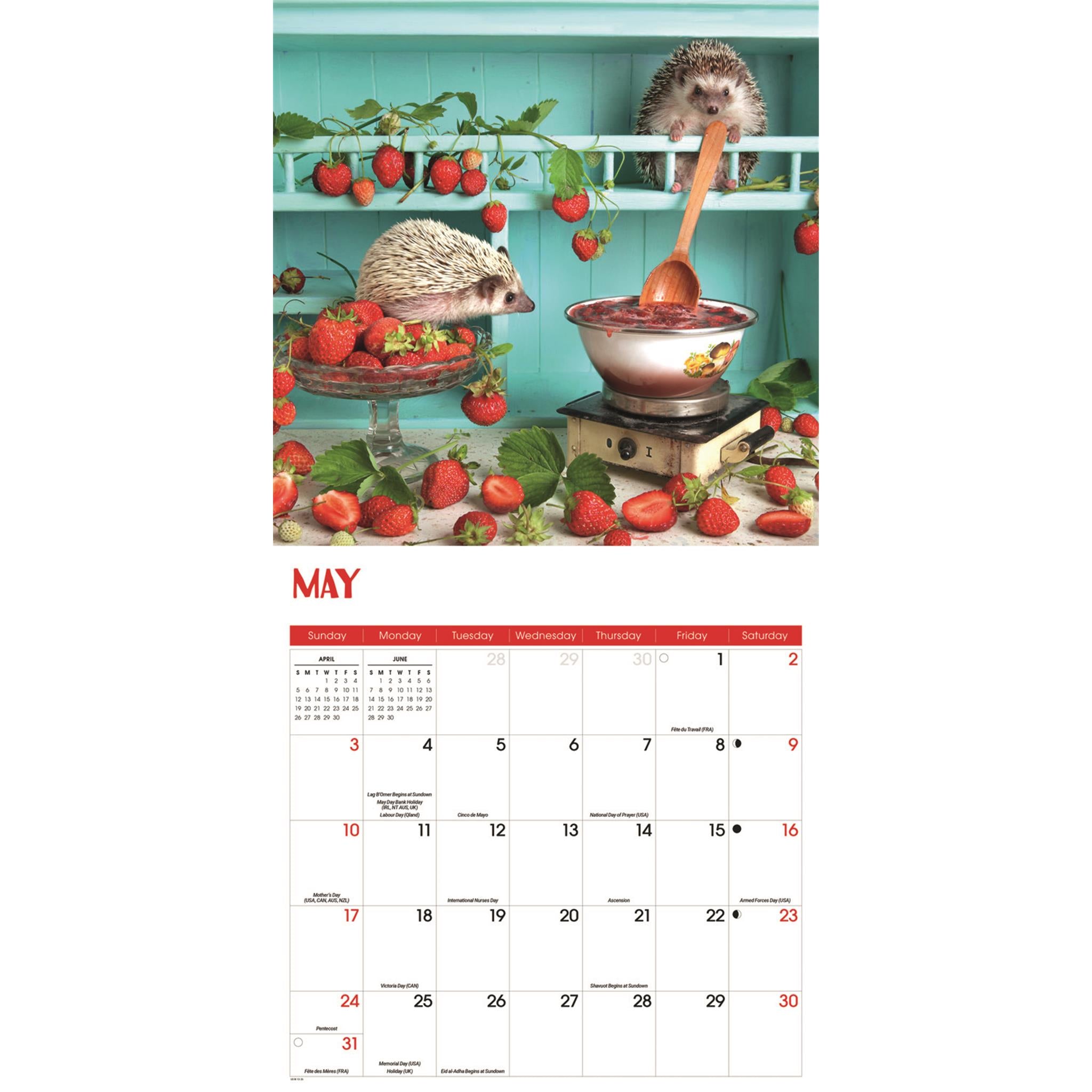 Calendrier mural Hérissons 2026