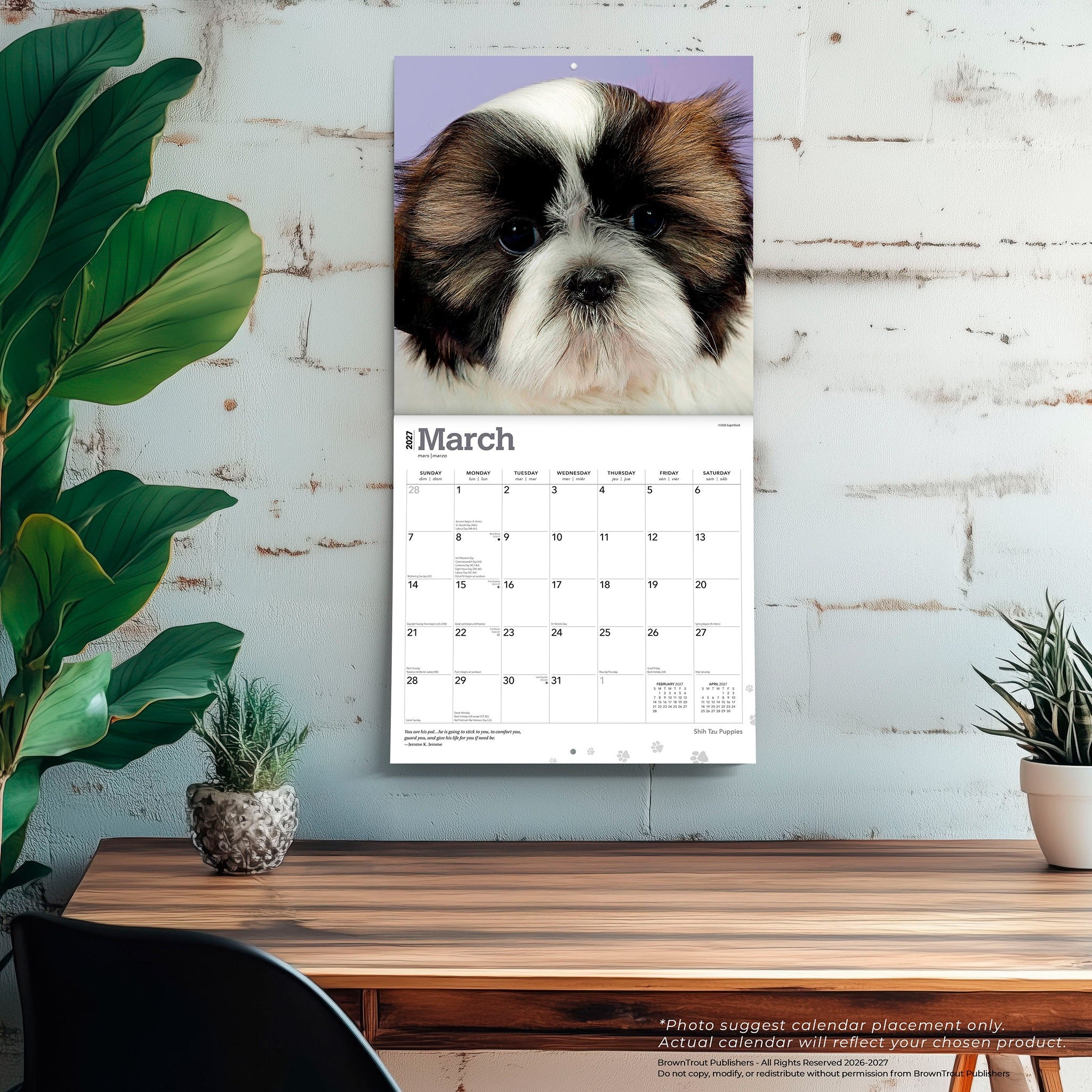 Shih Tzu Puppies 2027 Wall Calendar