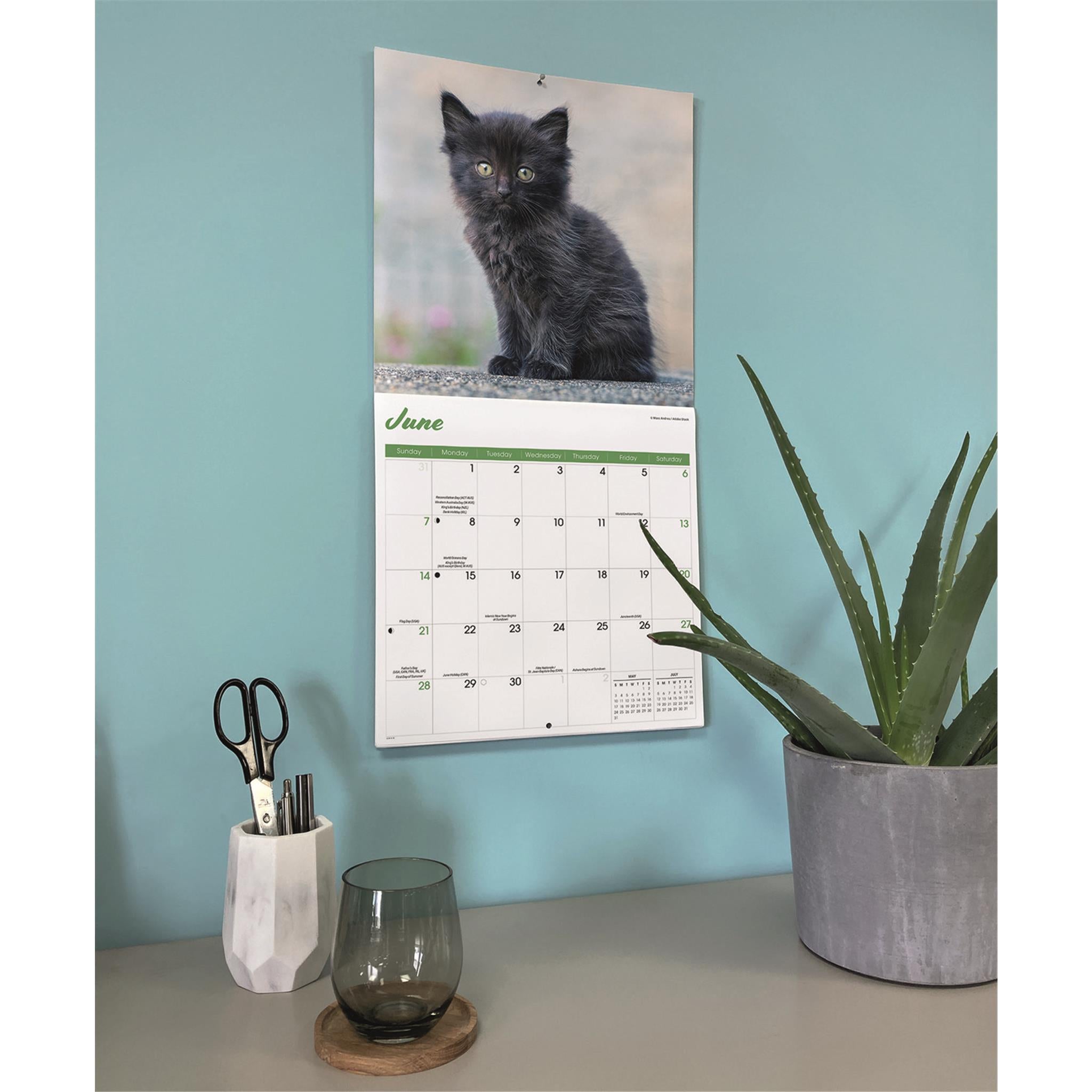 Calendrier mural Chatons noirs 2026