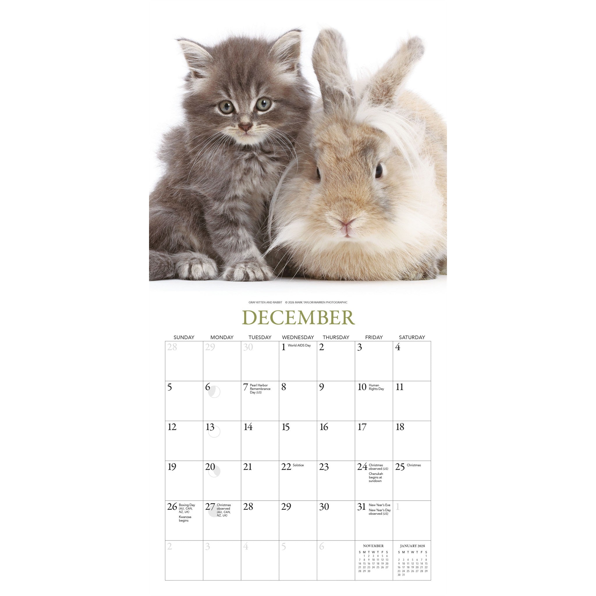 Mini calendrier Chatons et amis 2027