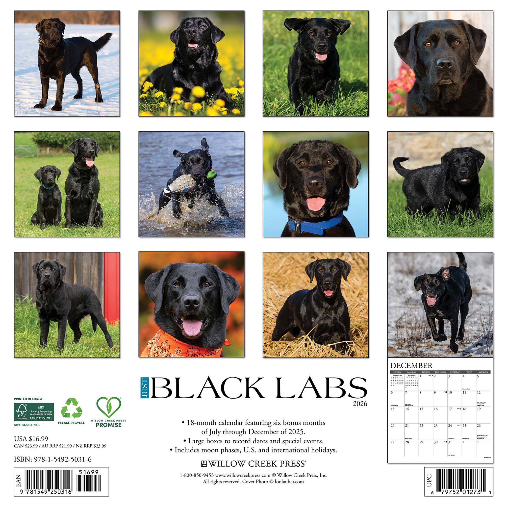 Calendrier mural Just Black Labs 2026 - Disponible uniquement en ligne