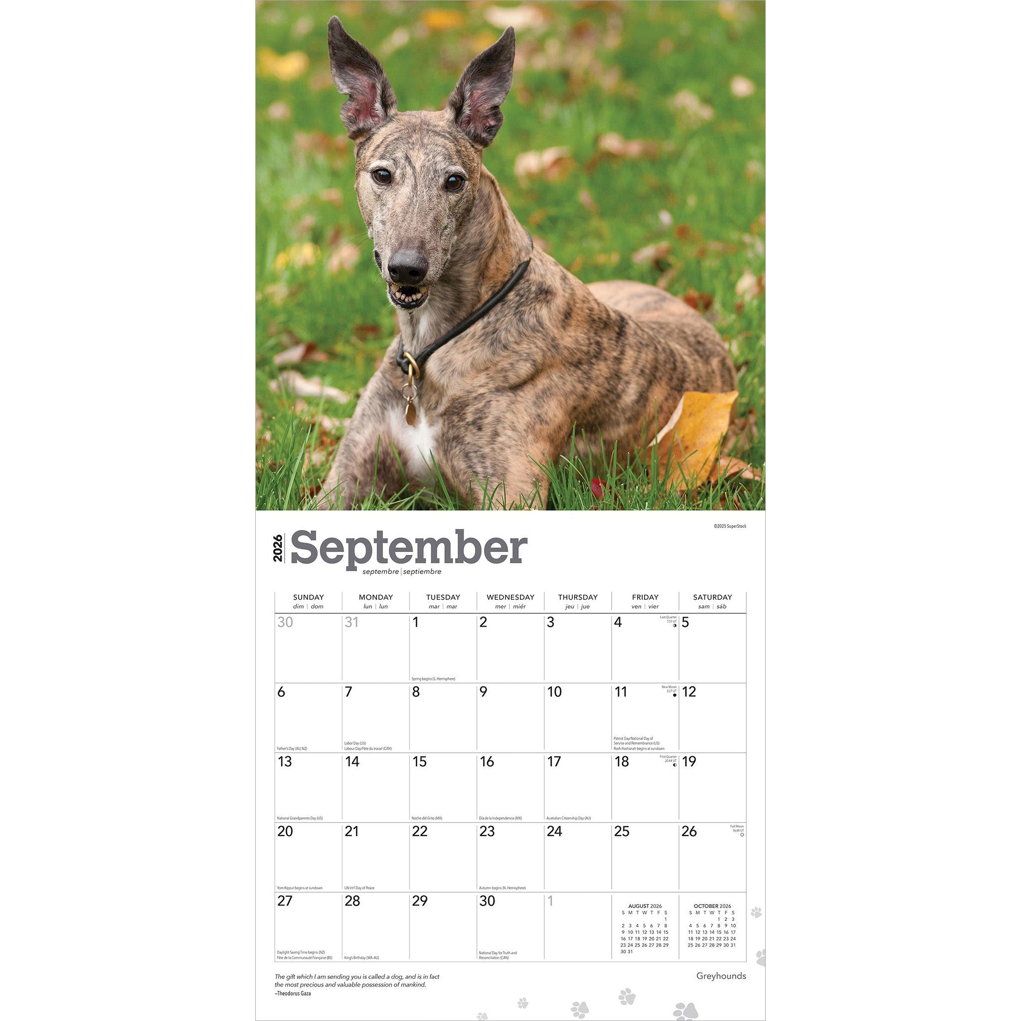 Calendrier mural Greyhounds 2026