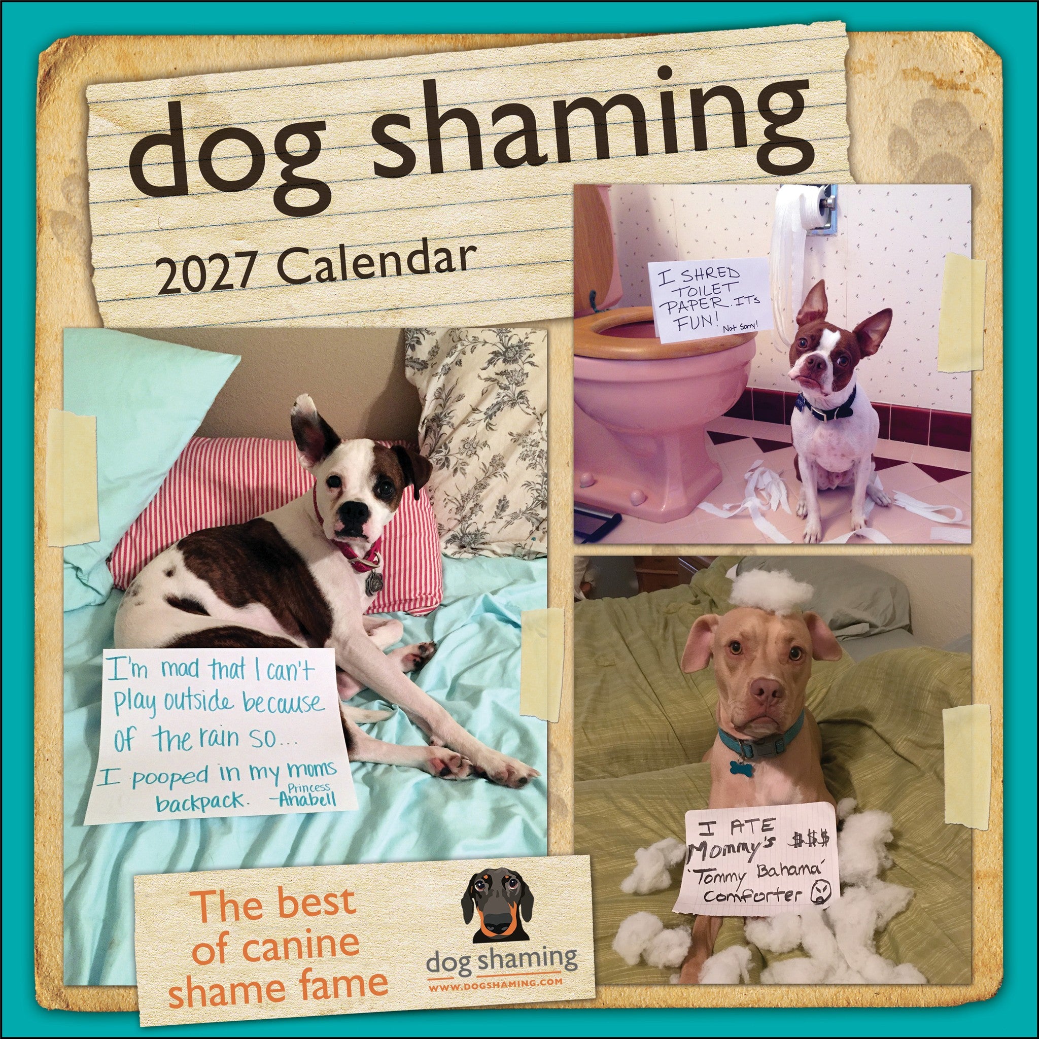 Calendrier mural 2027 : La honte des chiens