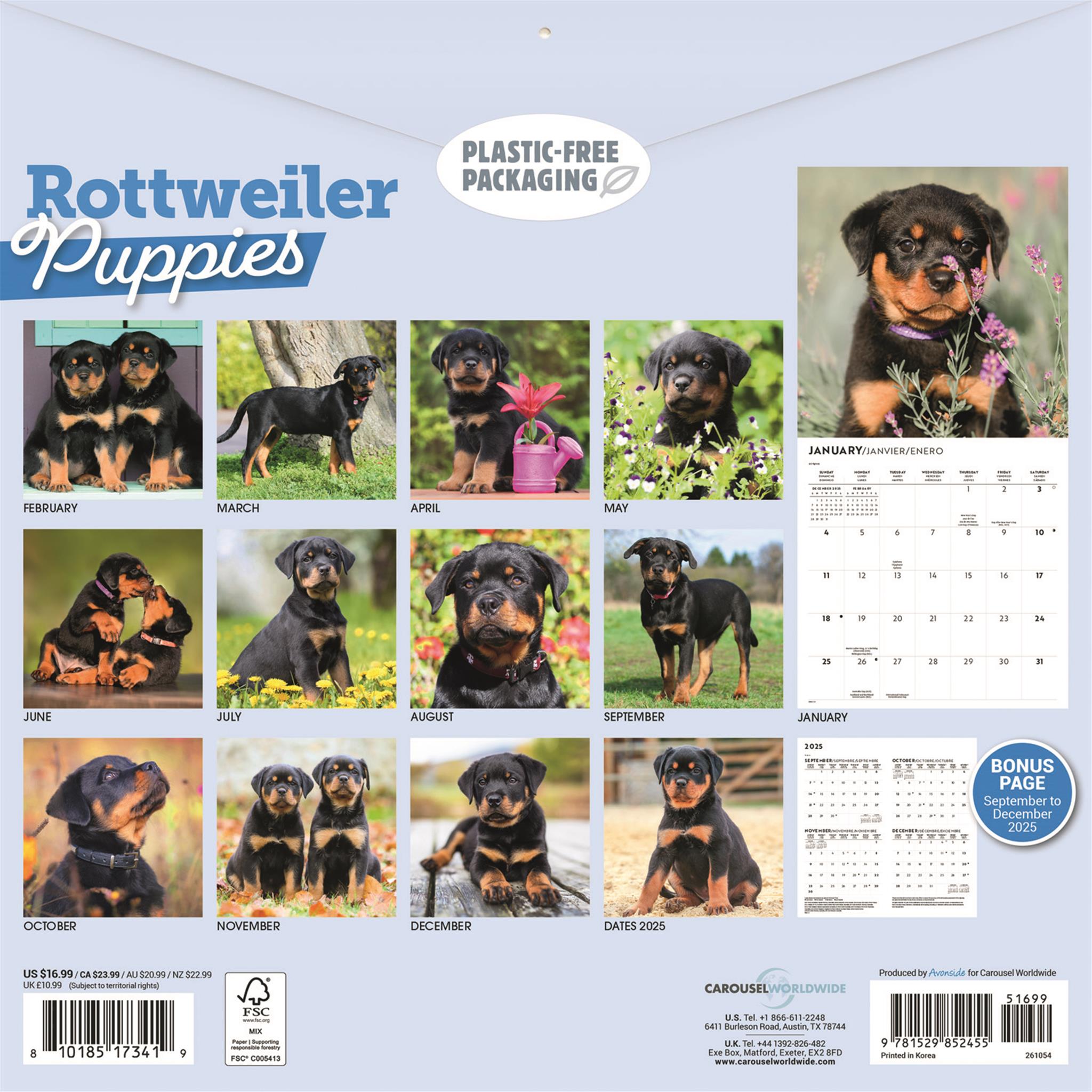 Calendrier mural des chiots Rottweiler 2026