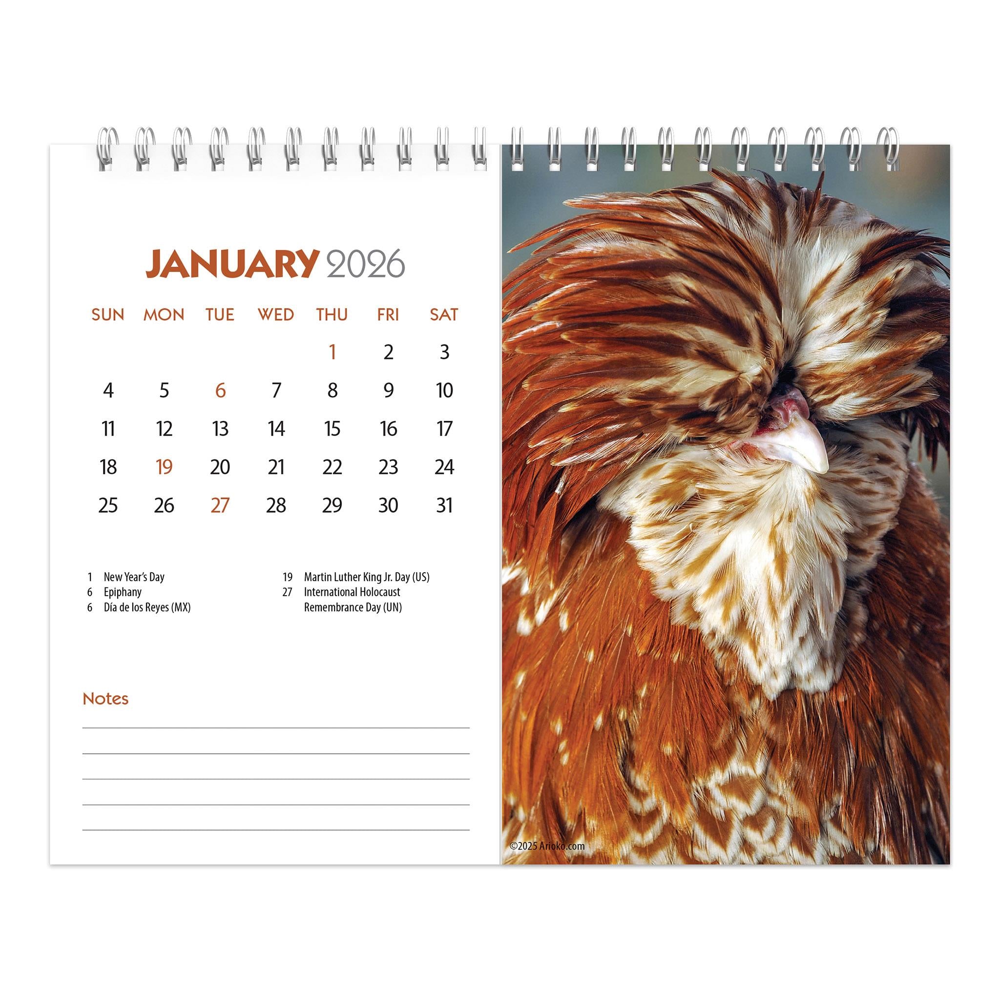 Calendrier chevalet double vue Poules 2026 - Disponible uniquement en ligne