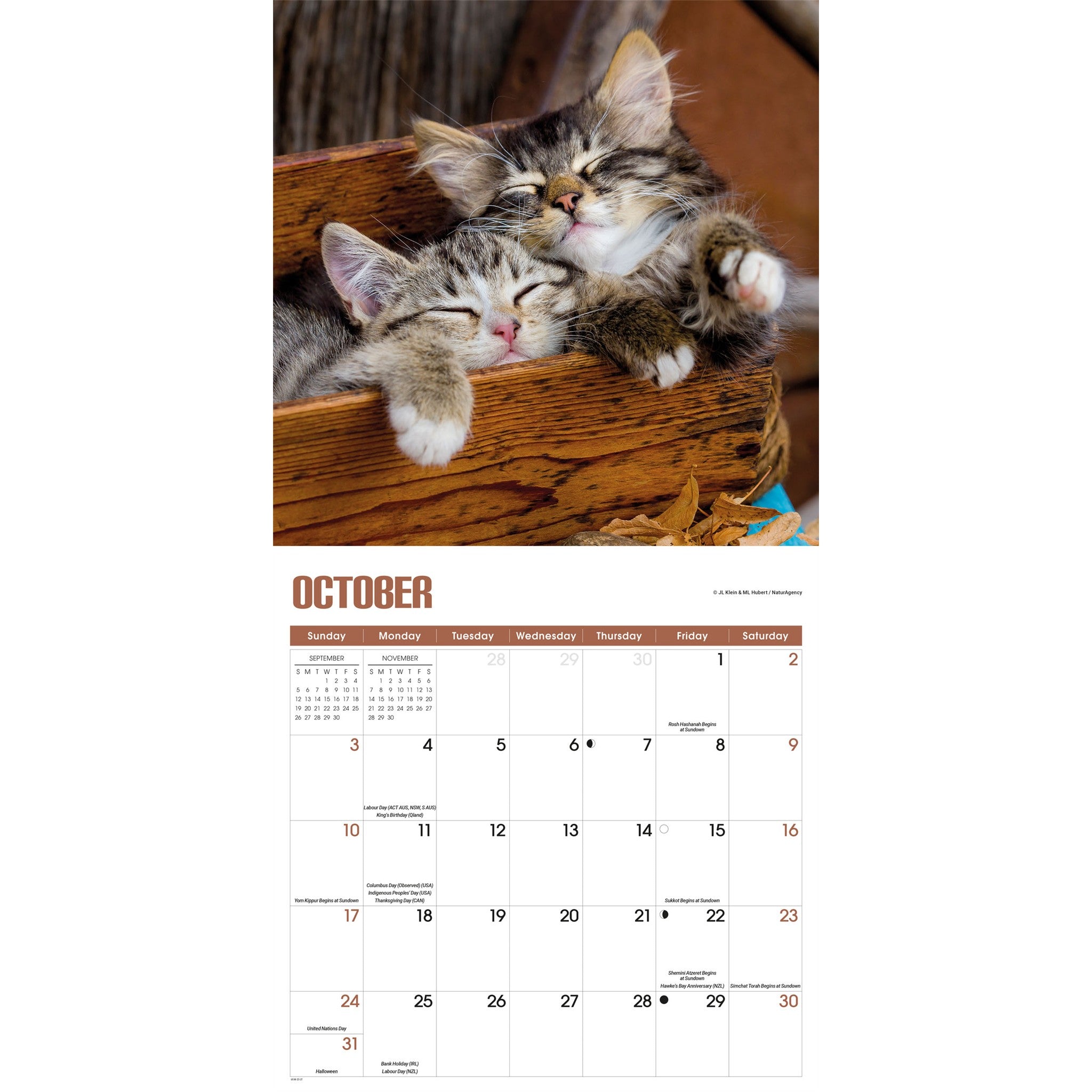 Calendrier mural 2027 : Siestes de chatons