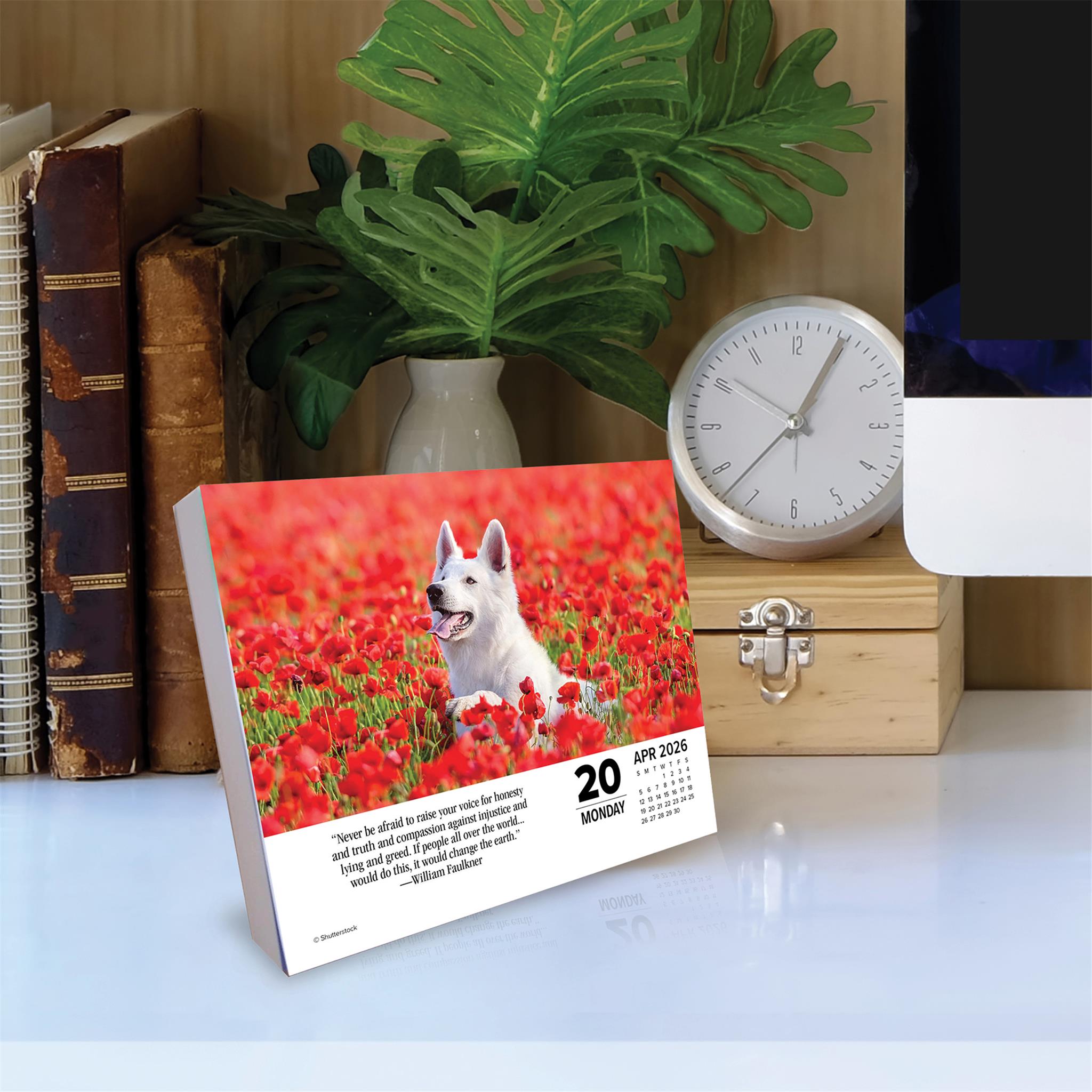 Calendrier 2026 « Ce que les chiens nous apprennent »