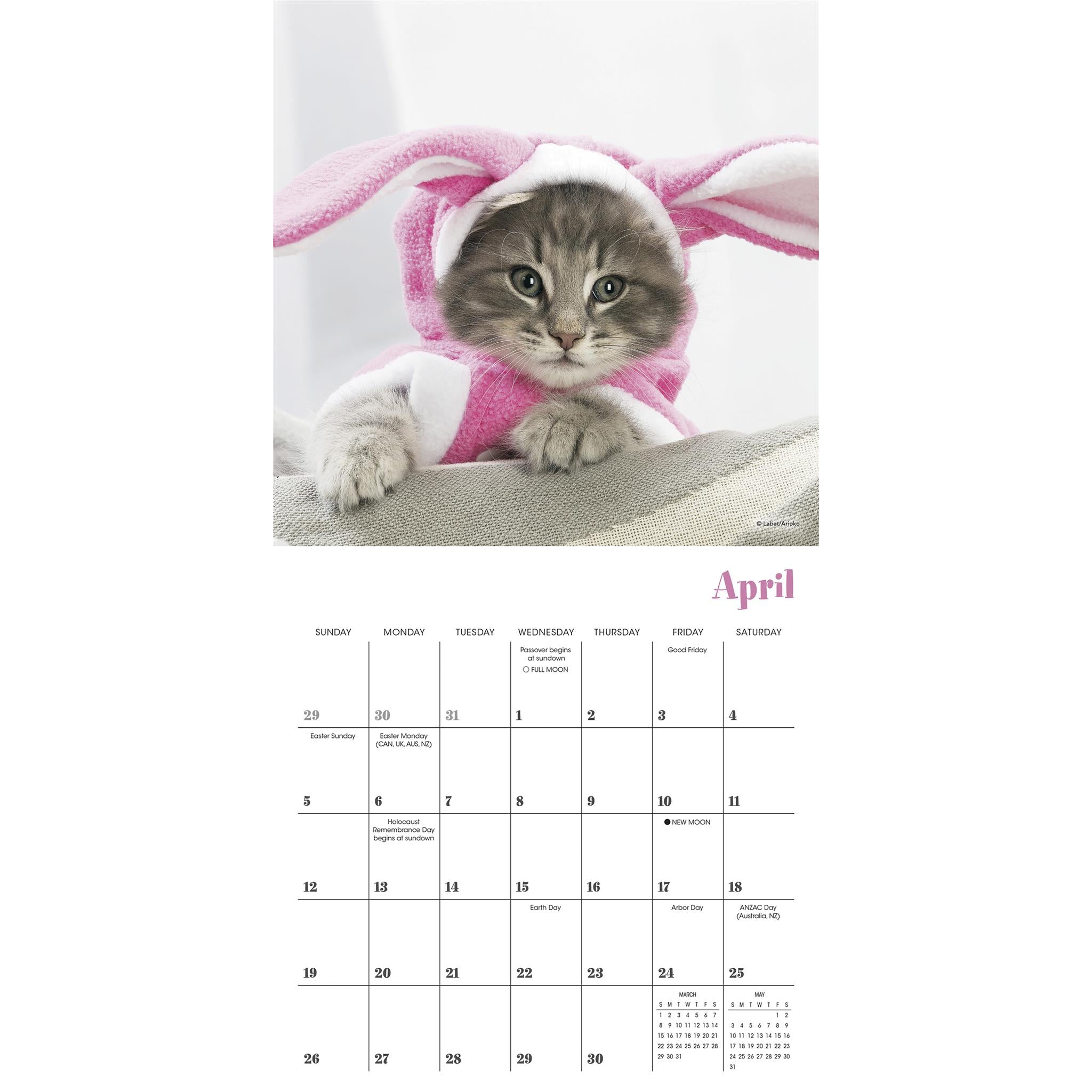 Mini-calendrier Chats Chapeautés 2026