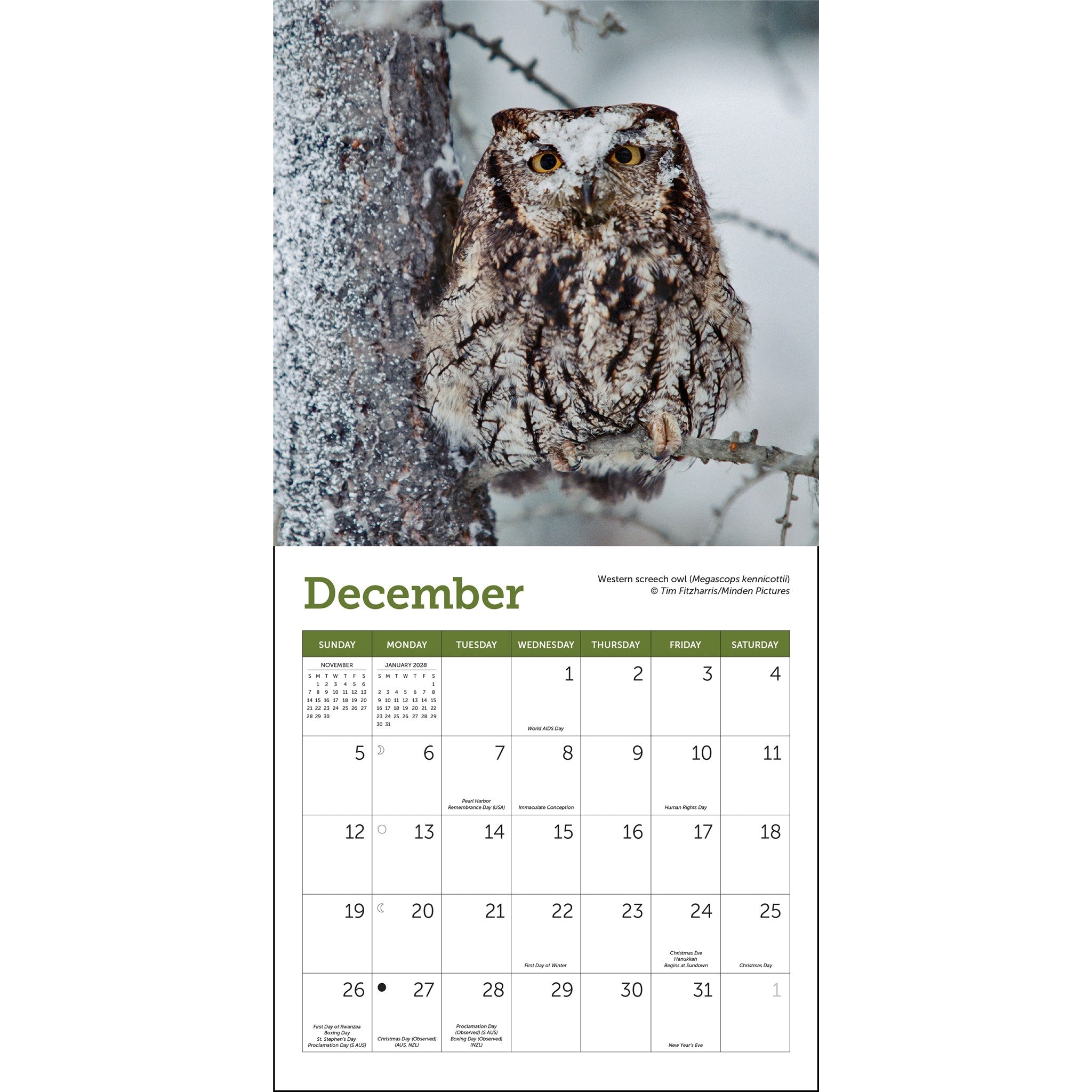 Mini-calendrier Hiboux 2027
