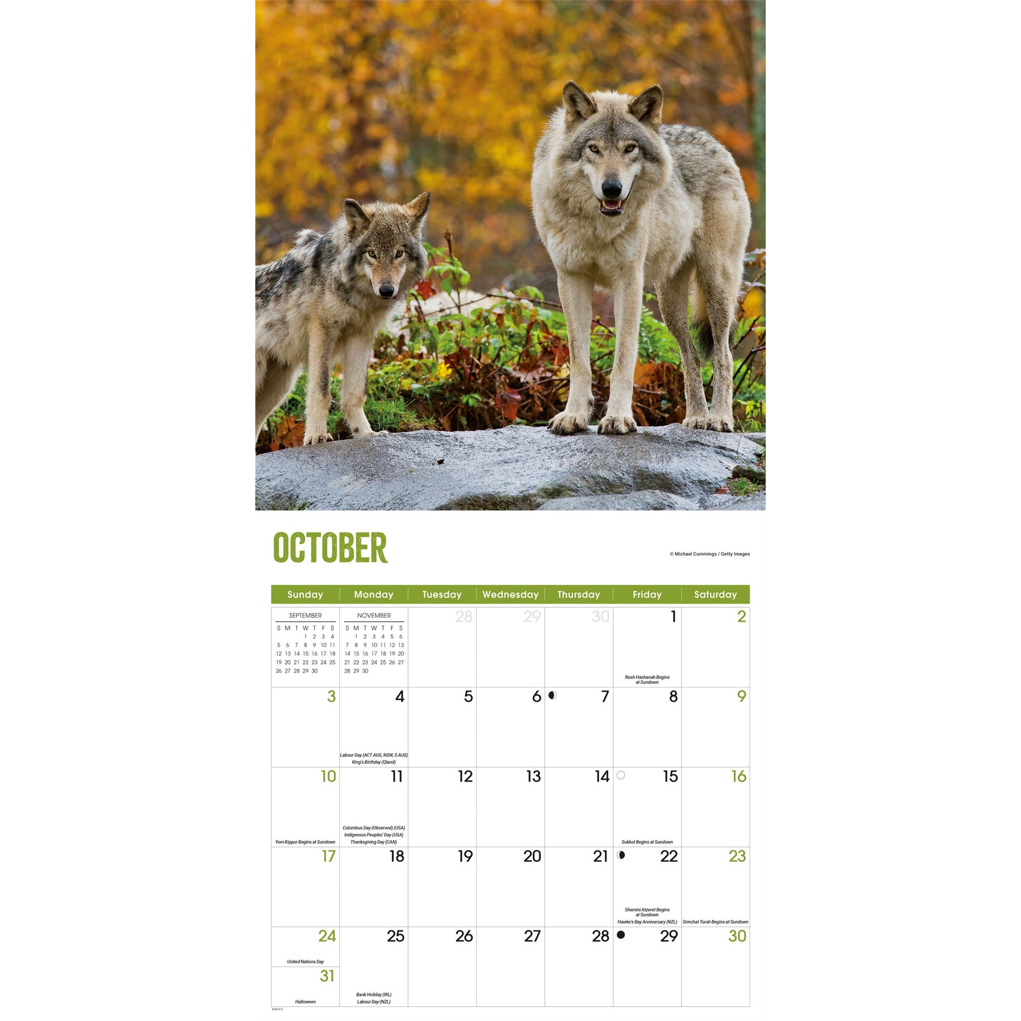 Calendrier mural Loups 2027