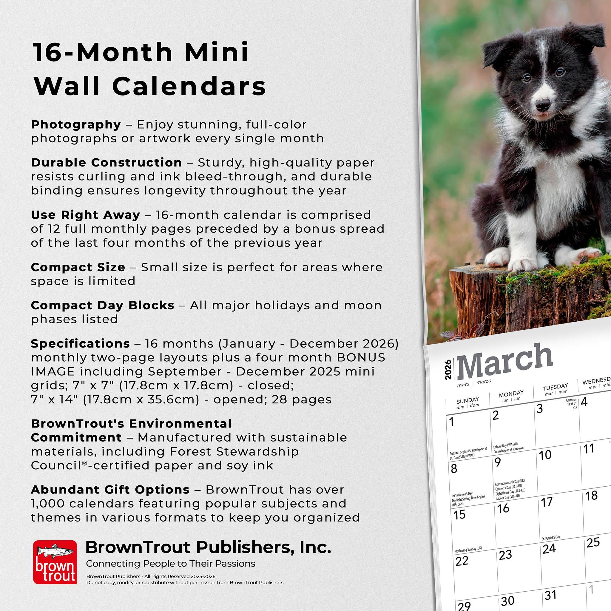 Mini calendrier 2026 des chiots Border Collie